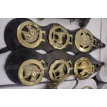 SIX HORSE BRASSES ON LEATHER STRAPS