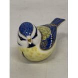 A ROYAL CROWN DERBY PAPERWEIGHT GARDEN BLUE TIT WITH GOLD COLOURED STOPPER