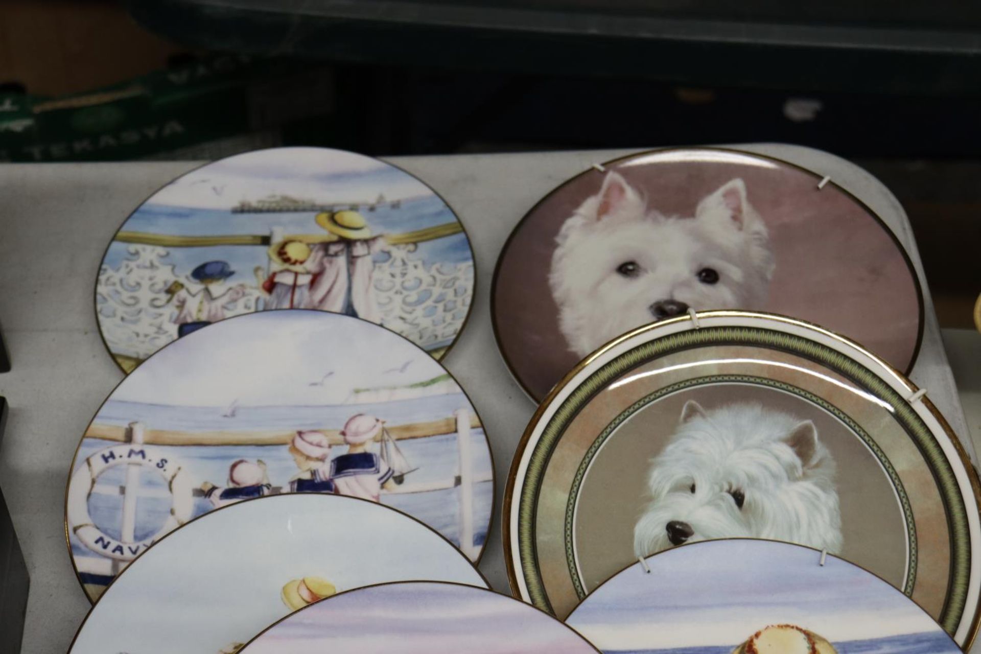 A COLLECTION OF THIRTEEN CABINET PLATES TO INCLUDE DOGS AND CHILDREN, SOME WITH CERTIFICATES - Image 2 of 4