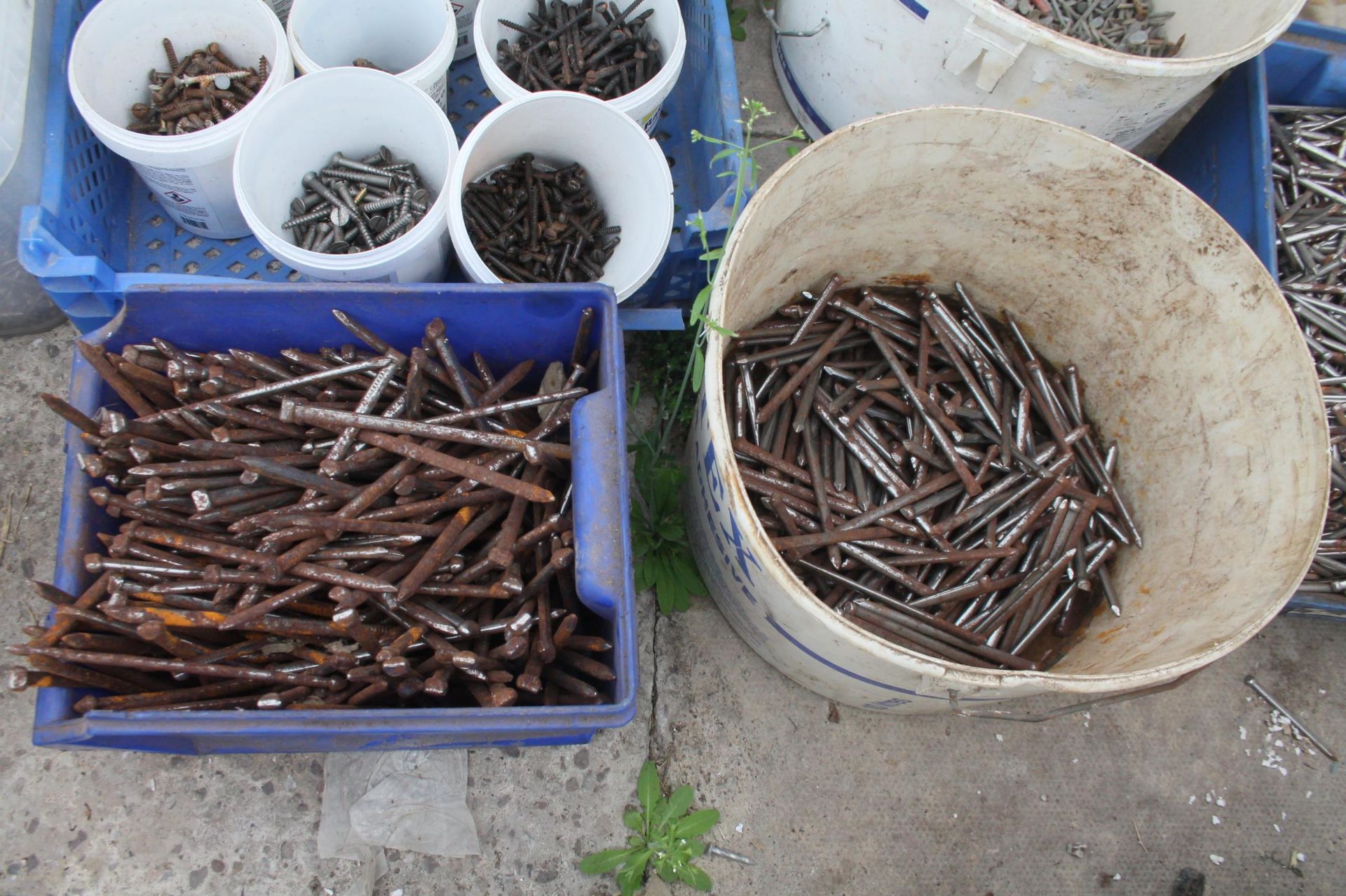 QUANTITY OF NAILS AND SCREWS - PLUS VAT - Bild 3 aus 4