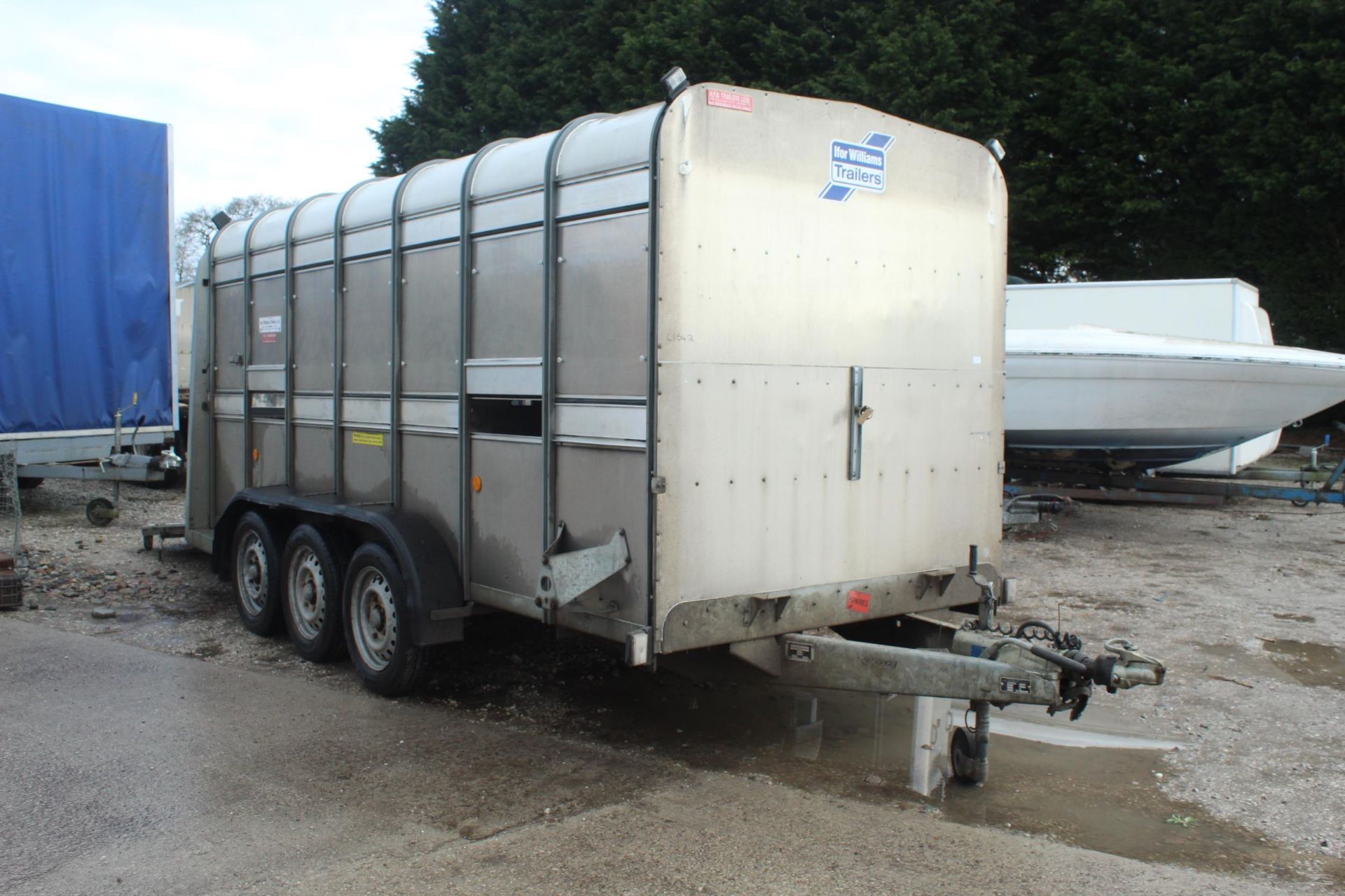 IFOR WILLIAMS TA510 14' TRI AXLE STOCK TRAILER WITH LARGE DIVISION + VAT - Image 2 of 5
