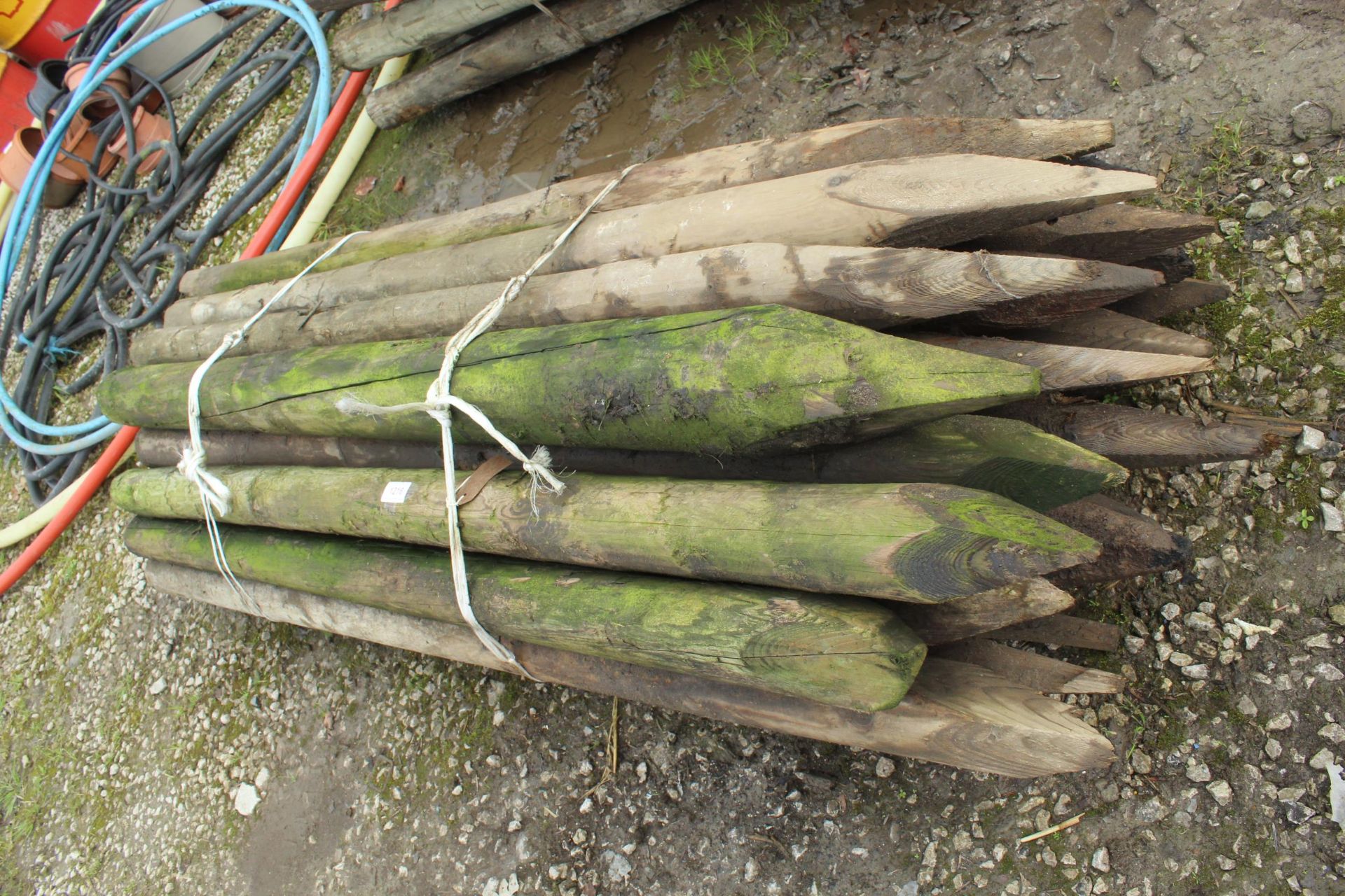 24 FENCE POSTS + VAT