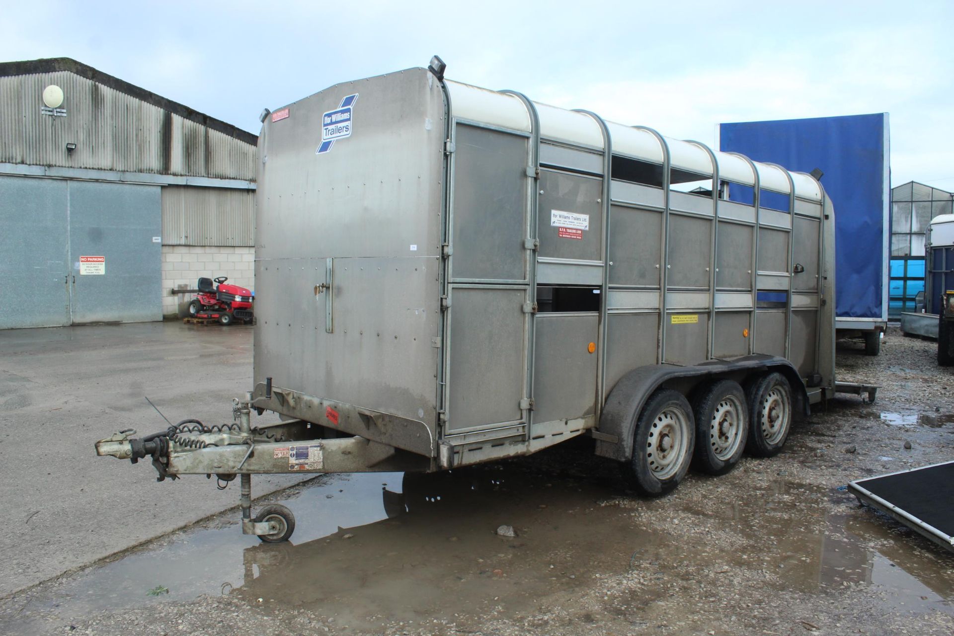 IFOR WILLIAMS TA510 14' TRI AXLE STOCK TRAILER WITH LARGE DIVISION + VAT