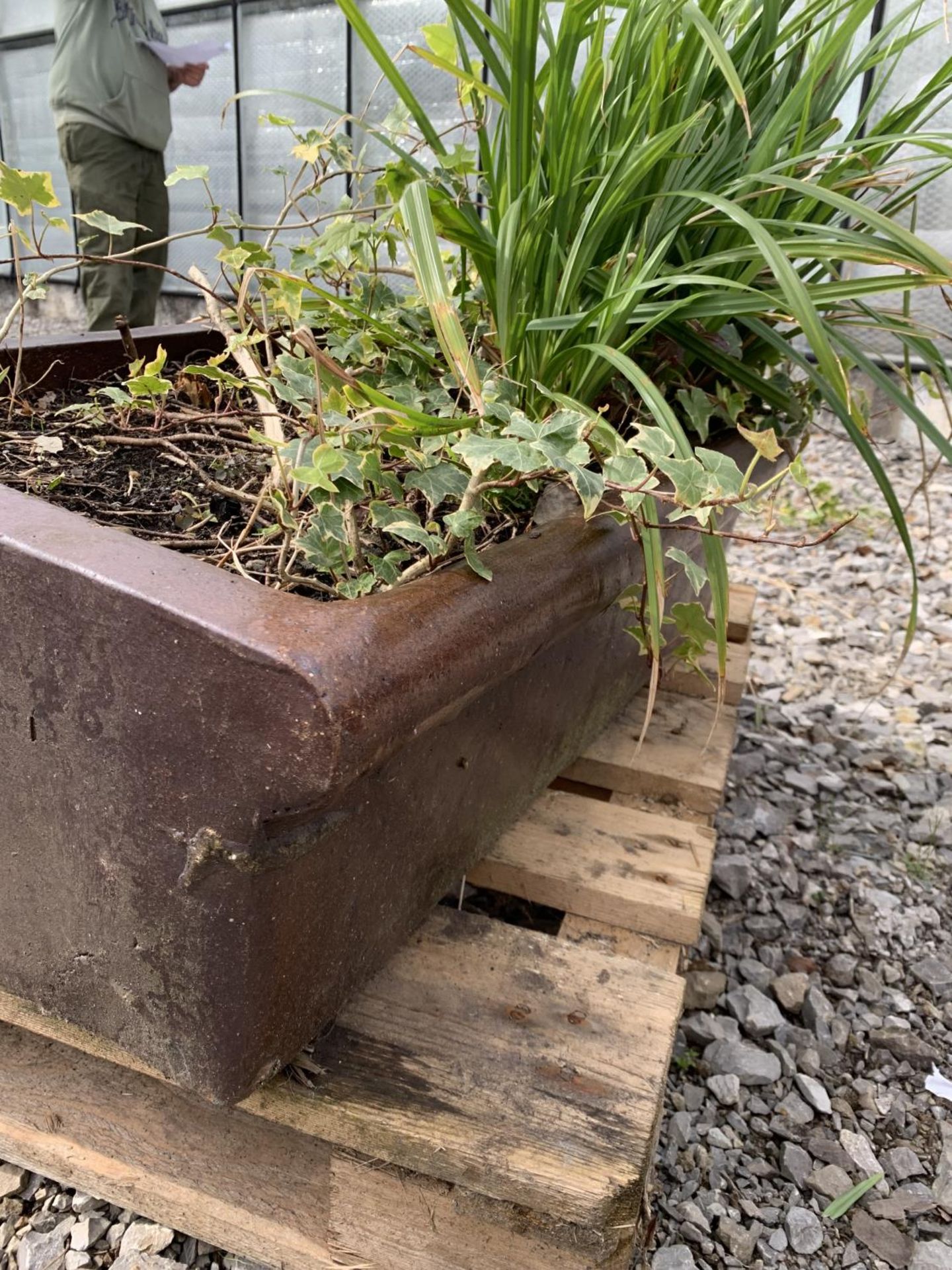 ONE BROWN SALT GLAZED PIG TROUGH WITH PLANTS MEASURING 76CM IN LENGTH BY 29CM WIDTH APPROX 23CM IN - Image 6 of 7