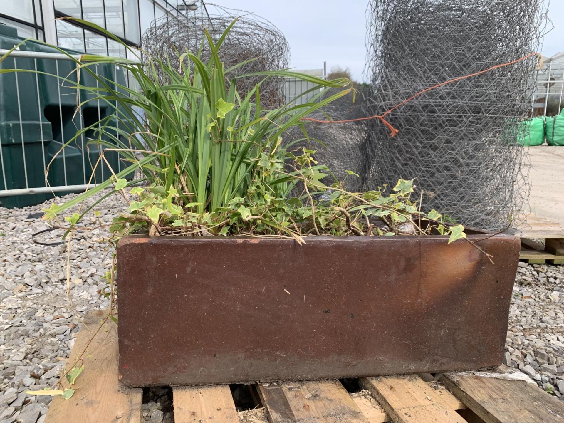 ONE BROWN SALT GLAZED PIG TROUGH WITH PLANTS MEASURING 76CM IN LENGTH BY 29CM WIDTH APPROX 23CM IN - Image 4 of 7