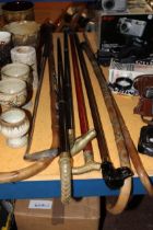 SEVEN VINTAGE WALKING STICKS, TWO WITH BRASS HORSES HEAD HANDLES, ONE WITH A BLACK LABRADOR