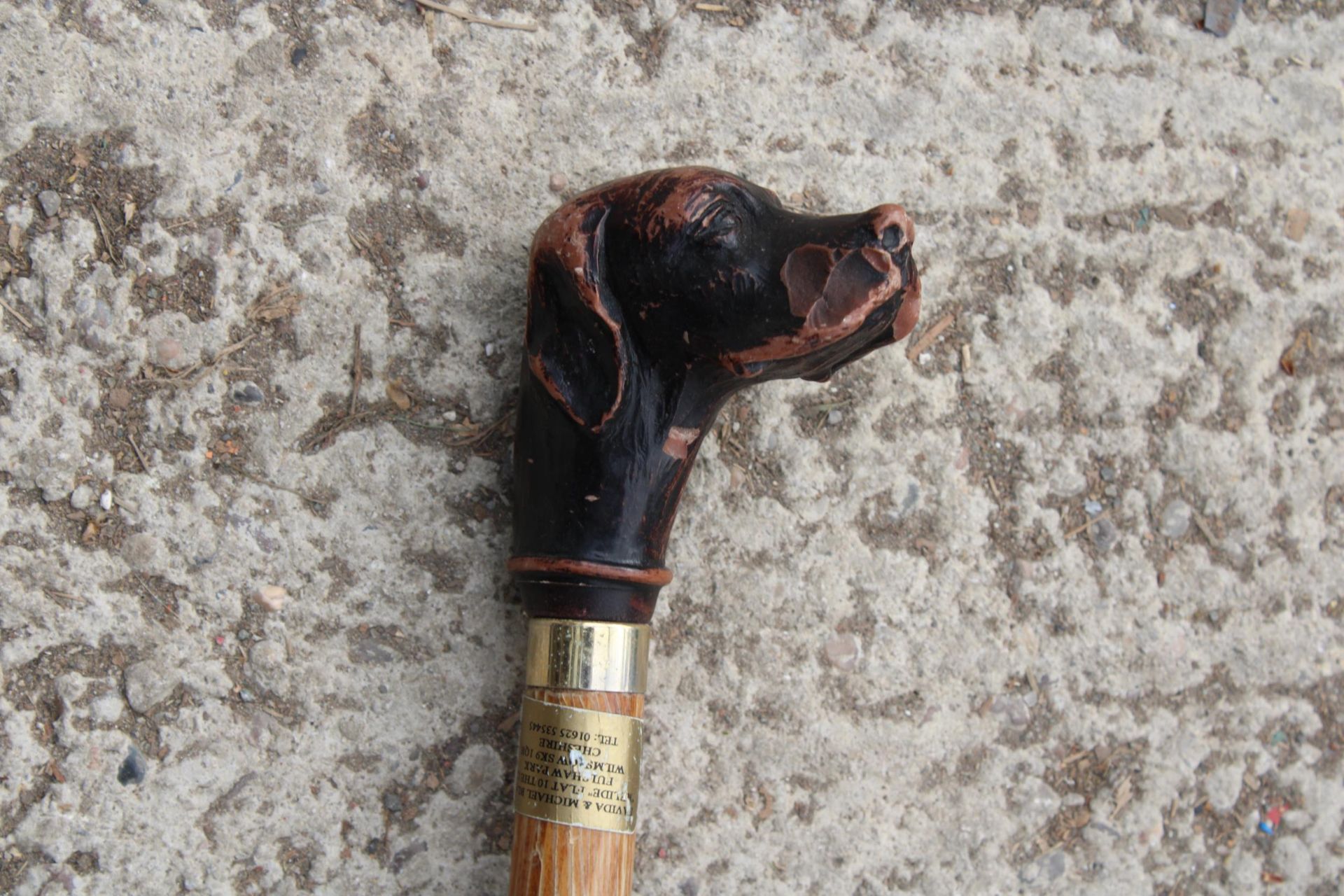 A VINTAGE WOODEN WALKING STICK WITH DOG HEAD HANDLE - Image 2 of 2