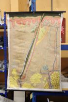 A VINTAGE, DRESDEN MUSEUM, ROLL DOWN EDUCATIONAL POSTER, 'HAIR FOLLICLE', ON ROBUST COTTON BACKED