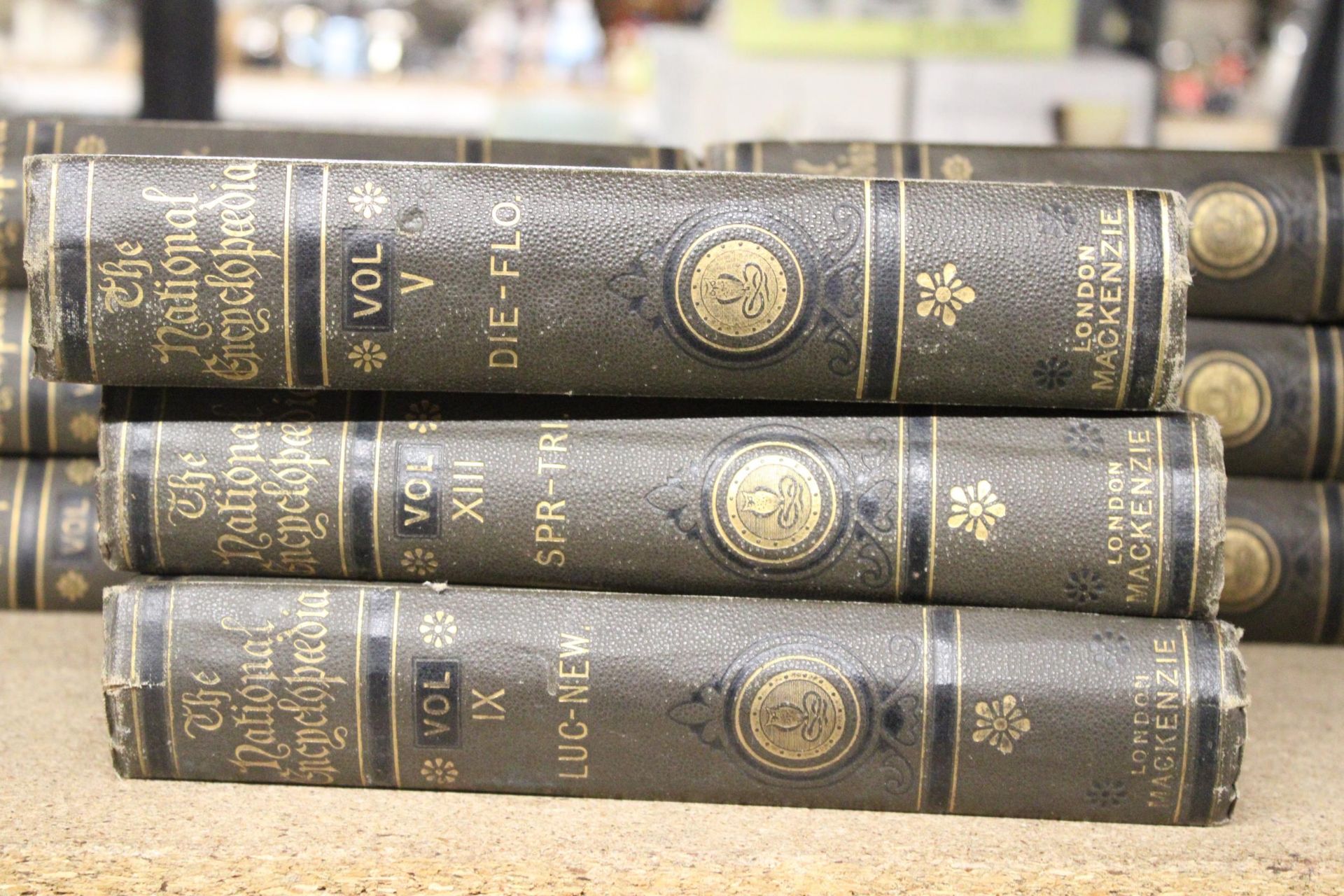 NINE VOLUMES OF THE NATIONAL ENCYCLOPEDIA LONDON MACKENZIE - Image 2 of 5