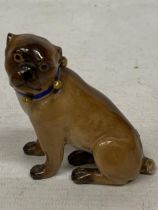 A 19TH CENTURY MEISSEN PUG - A/F