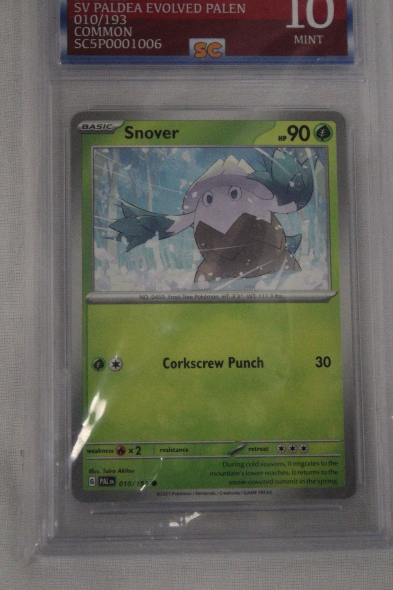 A GRADED POKEMON CARD 10/10 SNOVER - Image 2 of 4