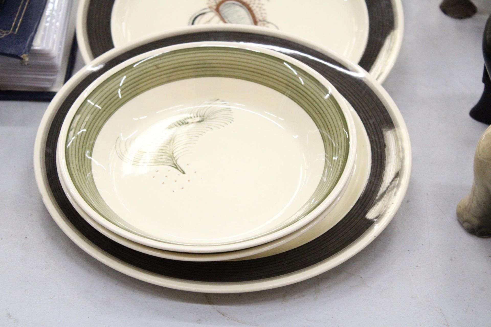 A COLLECTION OF SUSIE COOPER PLATES AND BOWLS TO INCLUDE ( GREEN FEATHER ) AND ( CHARCOAL SKELETON - Image 2 of 5