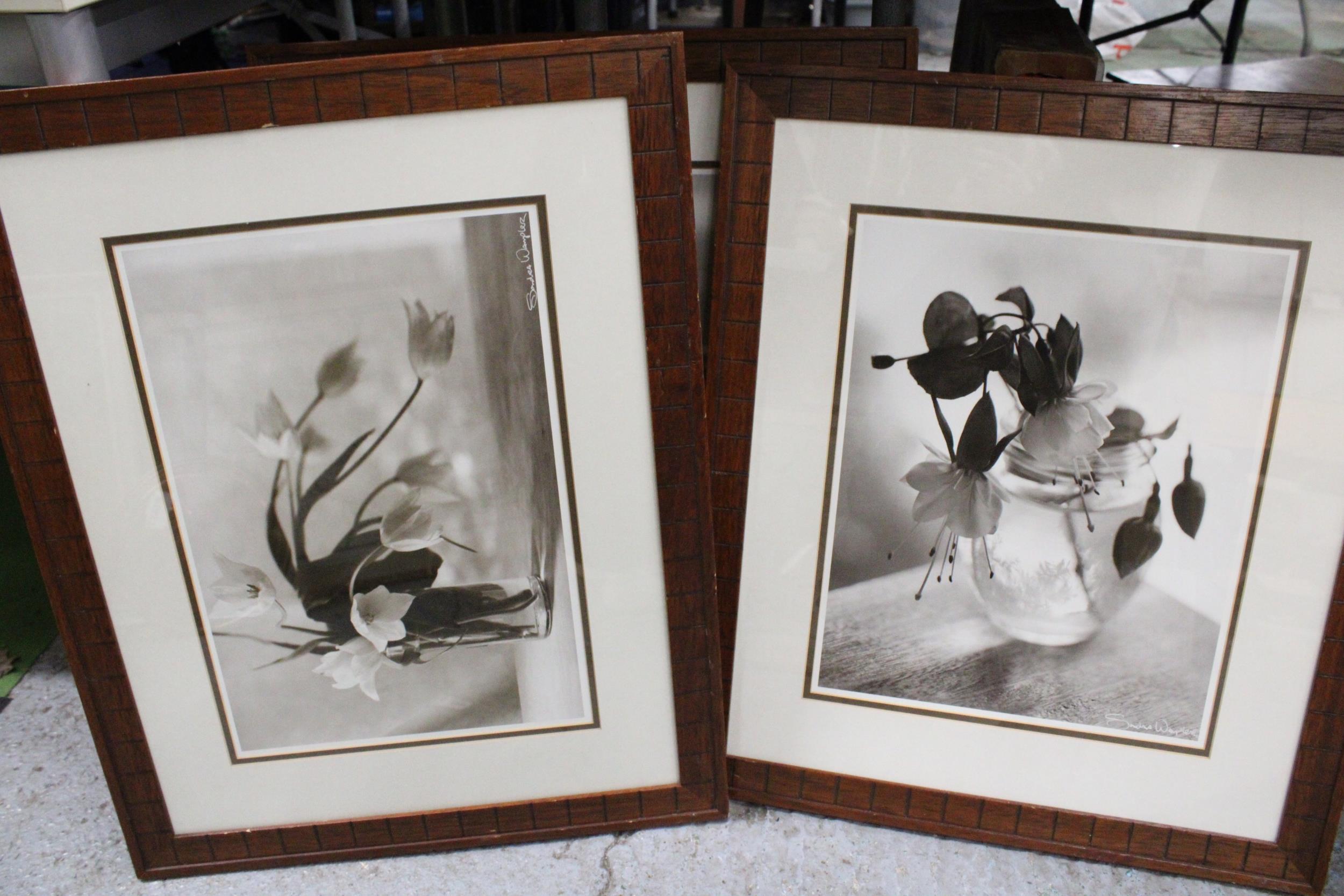 THREE PHOTOGRAPHIC PRINTS OF FLOWERS, 50CM X 63CM