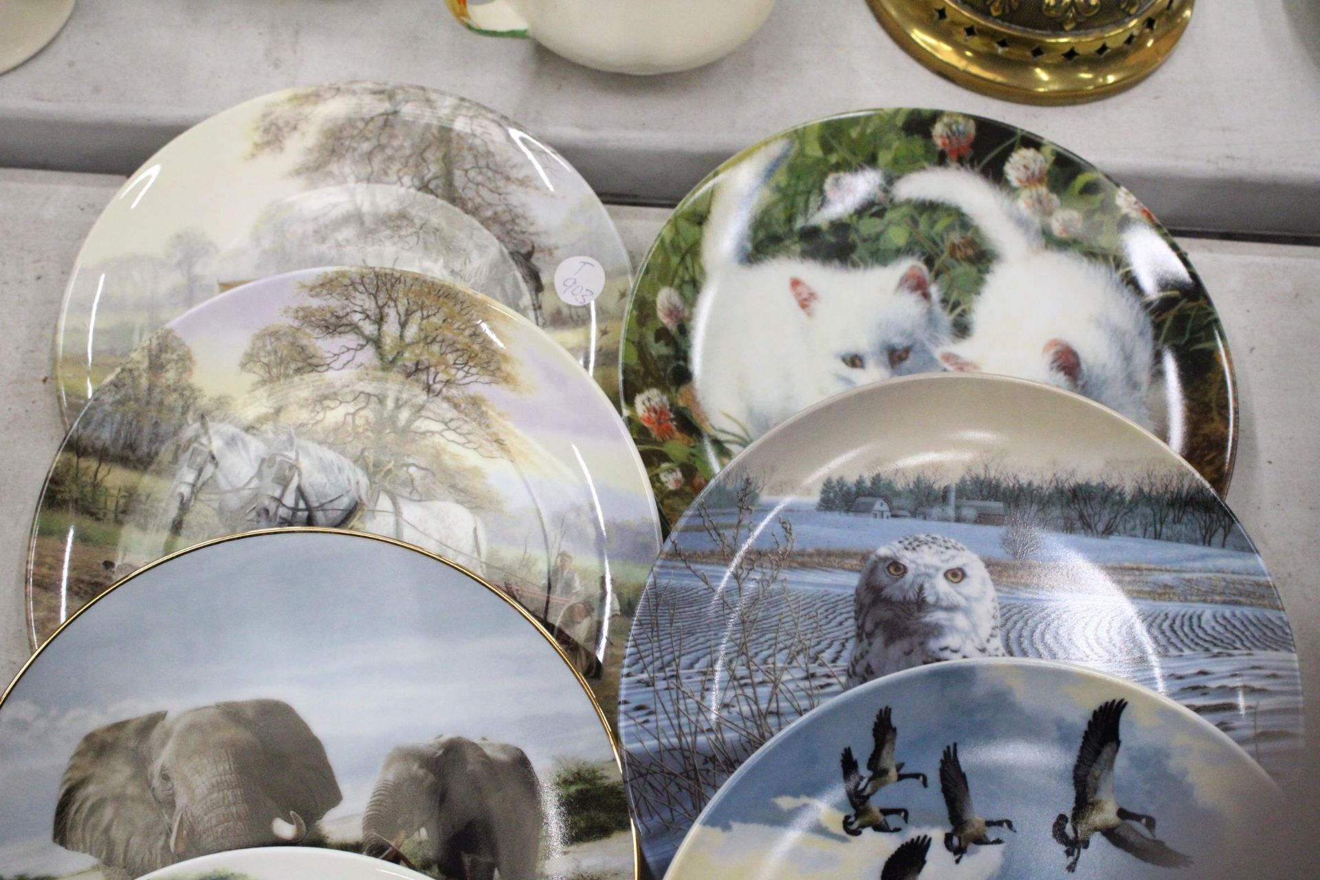 A QUANTITY OF TWELVE CABINET PLATES TO INCLUDE ROYAL DOULTON ETC - Image 4 of 7