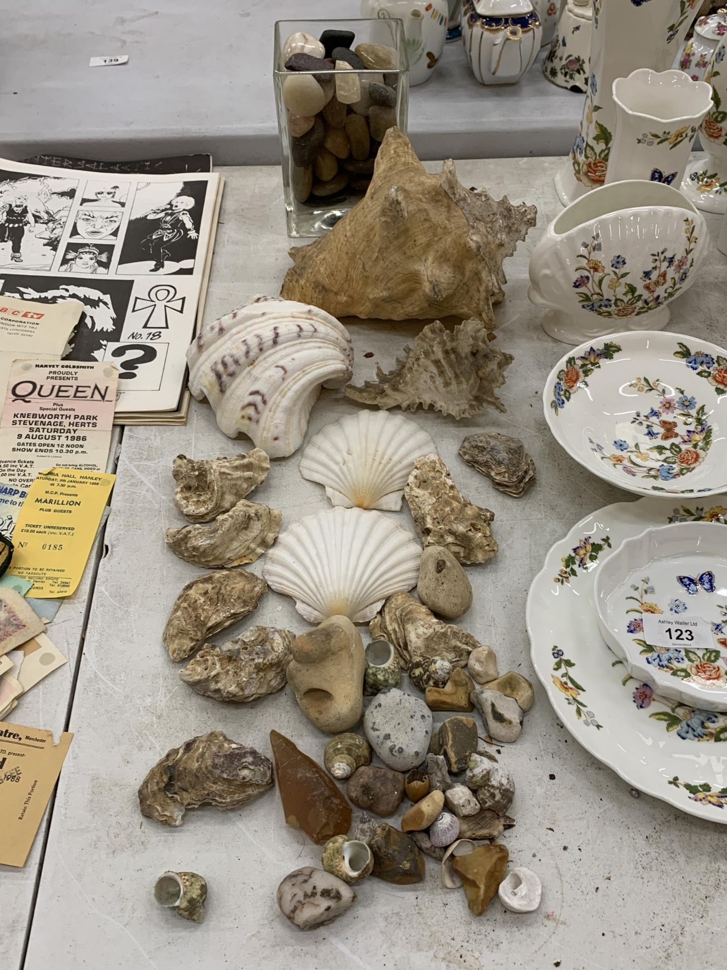 A COLLECTION OF SHELLS AND PEBBLES TO INCLUDE WHITE SCALLOPS, LARGE CONCH, OYSTER SHELLS, ETC.,