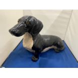 A LARGE FIGURE OF A DACHSHUND APPROXIMATELY 36CM IN LENGTH