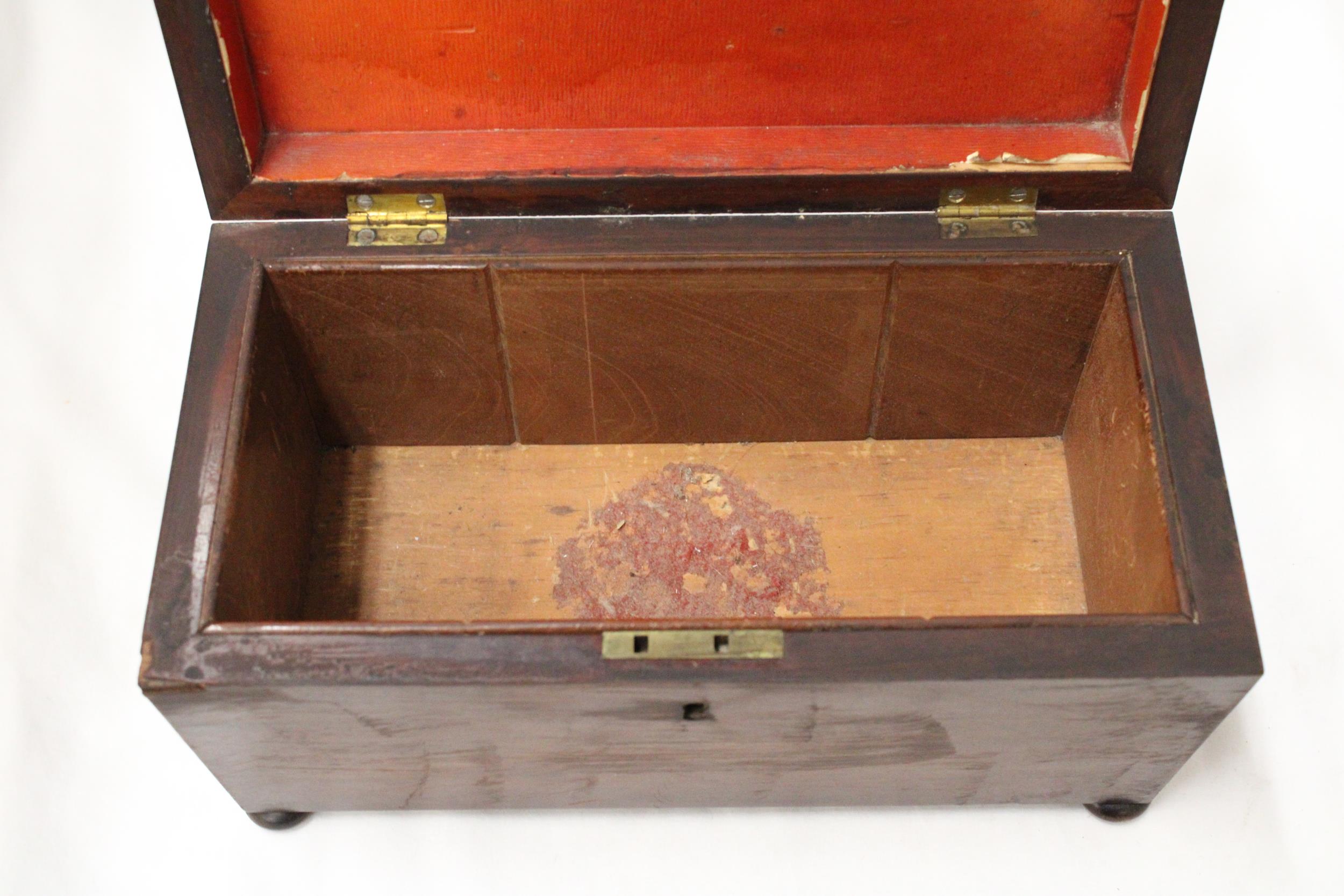 AN EARLY VICTORIAN, MAHOGANY, SARCOPHAGUS, TEA CADDY - Image 3 of 5