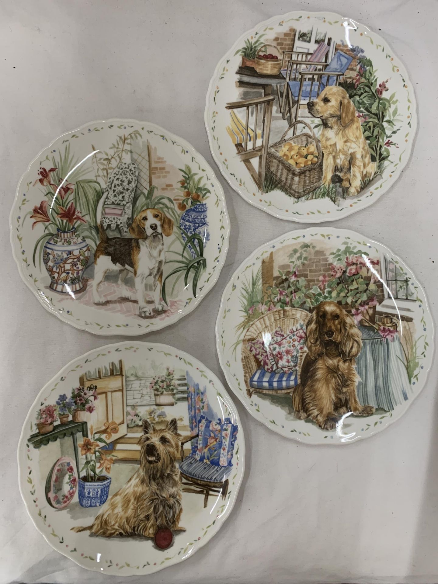 FOUR ROYAL ALBERT, 'MAN'S BEST FRIEND', CABINET PLATES