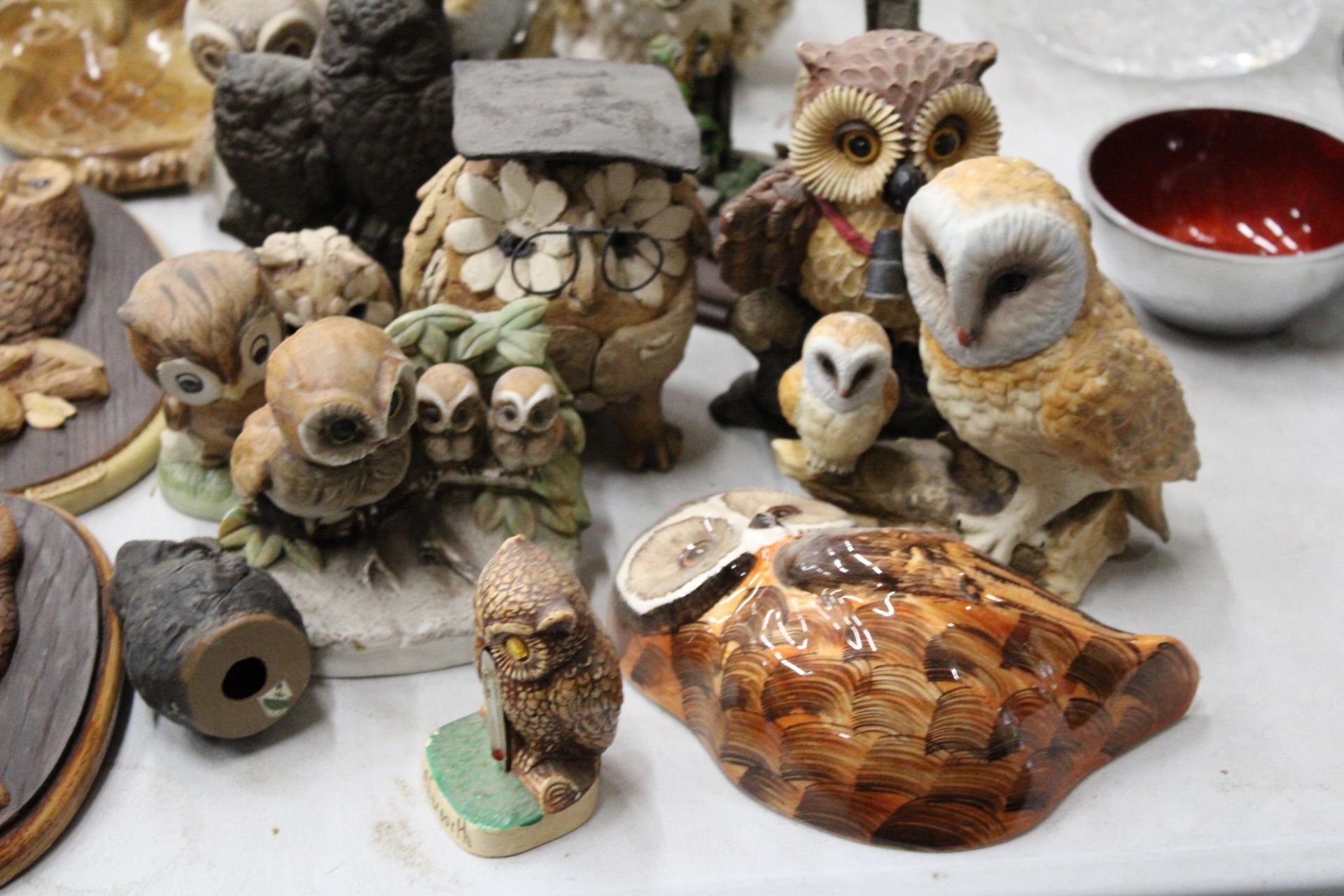 A LARGE QUANTITY OF OWL FIGURES (25 IN TOTAL) - Image 2 of 7