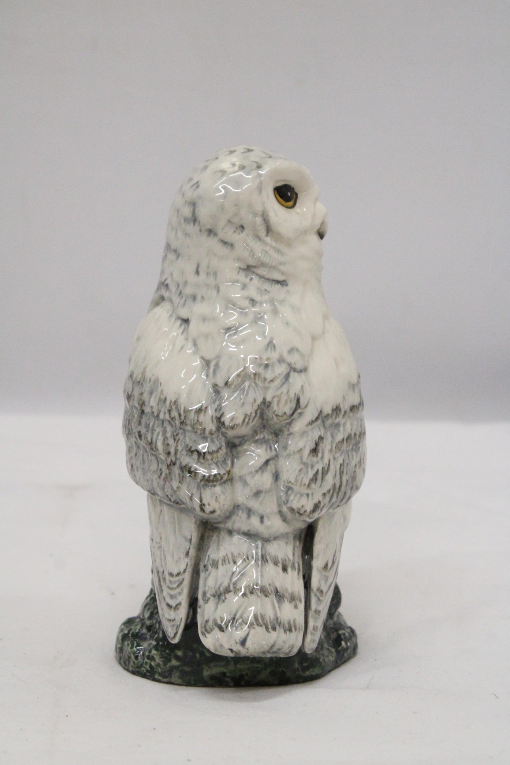 A ROYAL DOULTON, 1984, SNOWY OWL, WHYTE AND MACKAY DECANTER - Image 5 of 6