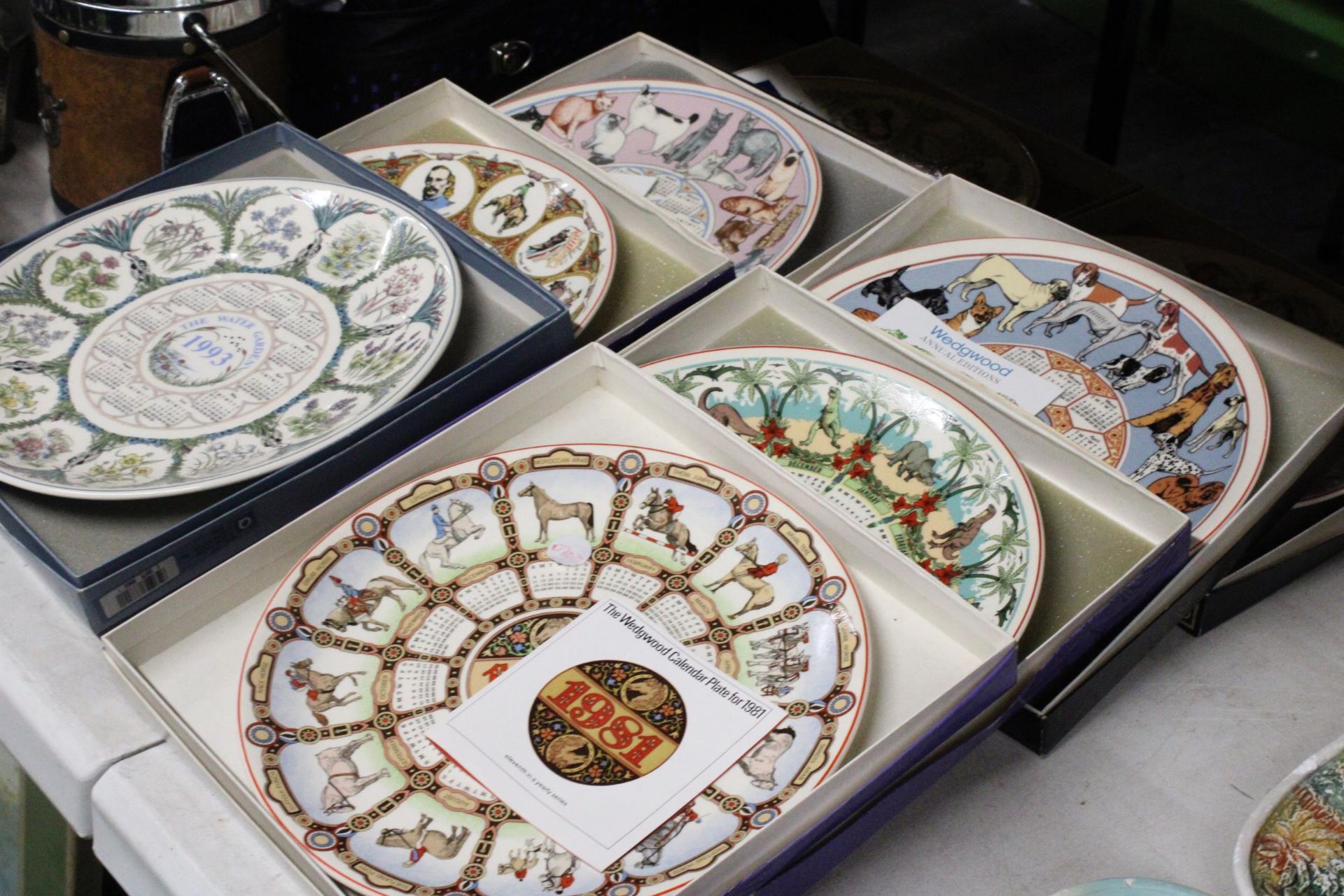 EIGHT BOXED WEDGWOOD CALENDAR PLATES TO INCLUDE HORSES, CATS, DOGS, THE WATER GARDEN, ETC., - Image 4 of 4