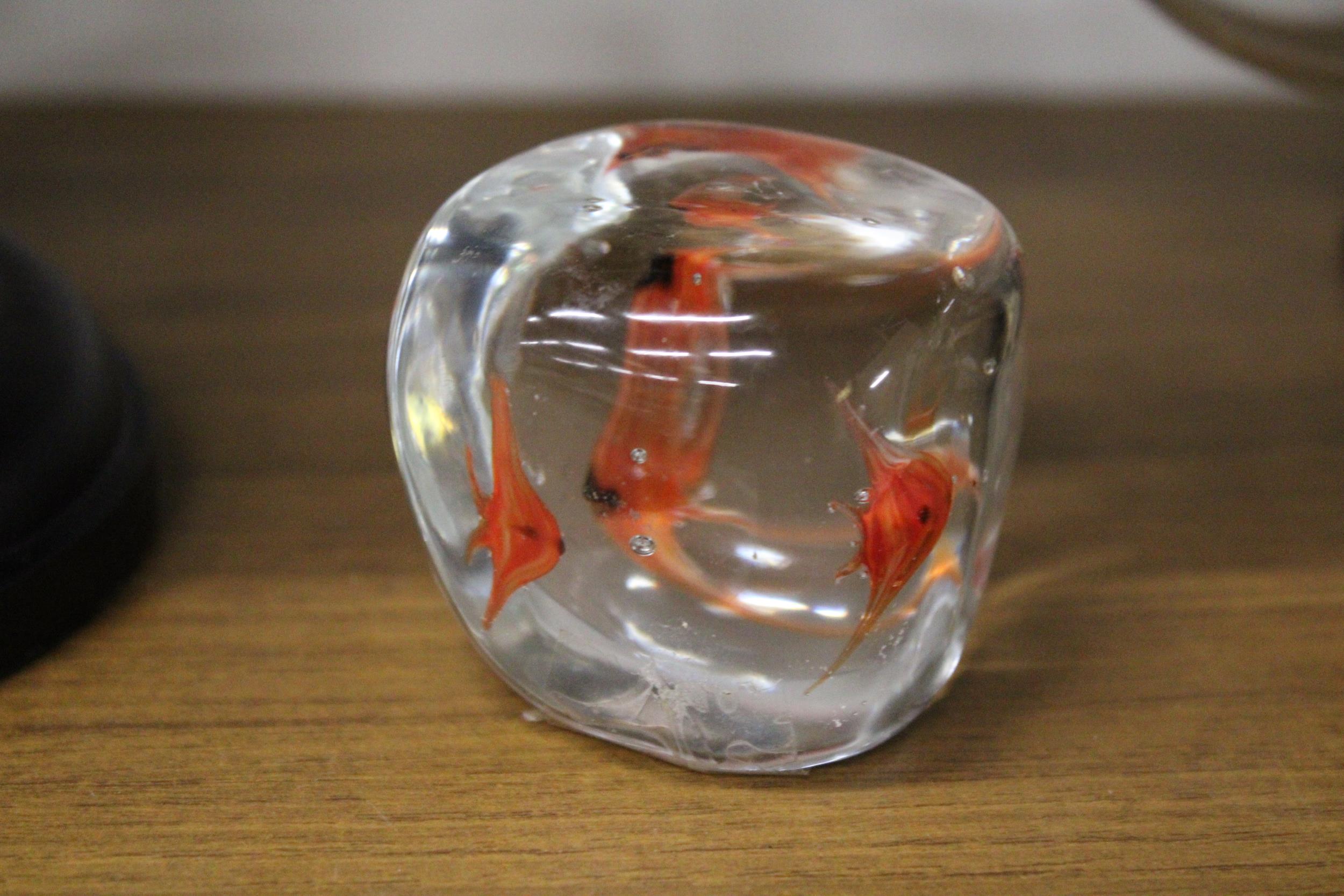 A VINTAGE MURANO GOLDFISH PAPERWEIGHT, WITH STICKER TO THE BASE - Image 3 of 4
