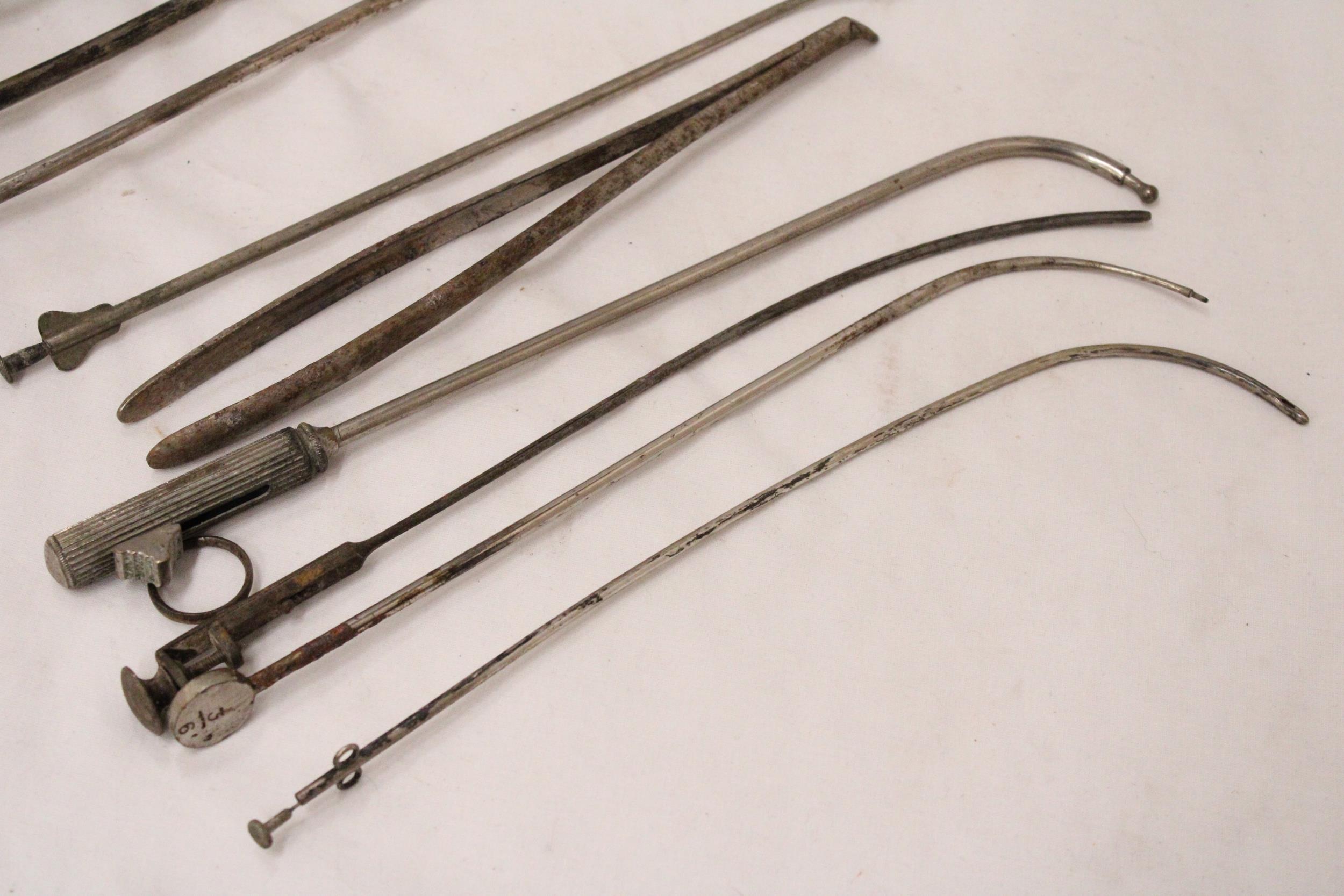 NINE VINTAGE VETERINARY INSTRUMENTS - Image 4 of 5