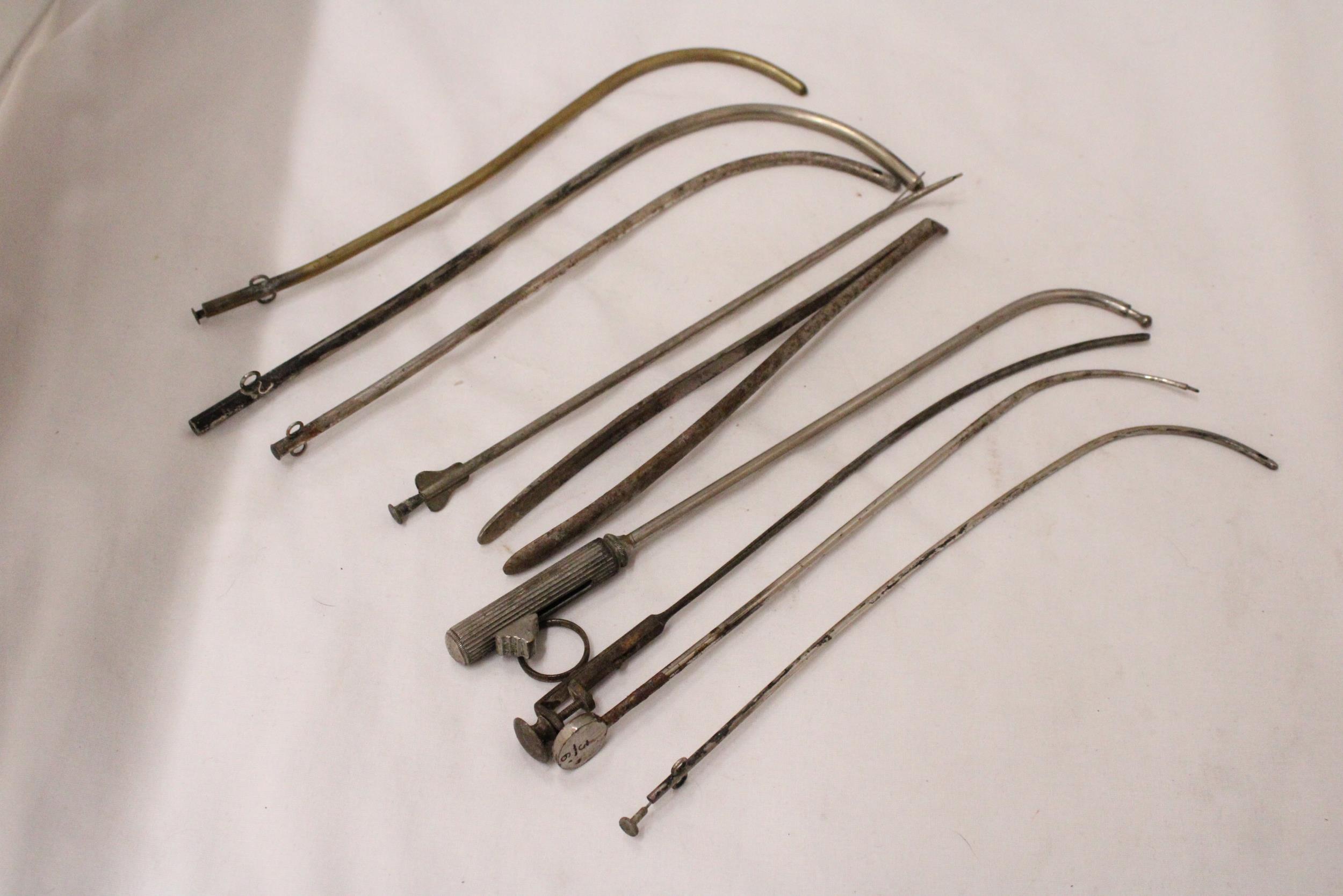 NINE VINTAGE VETERINARY INSTRUMENTS