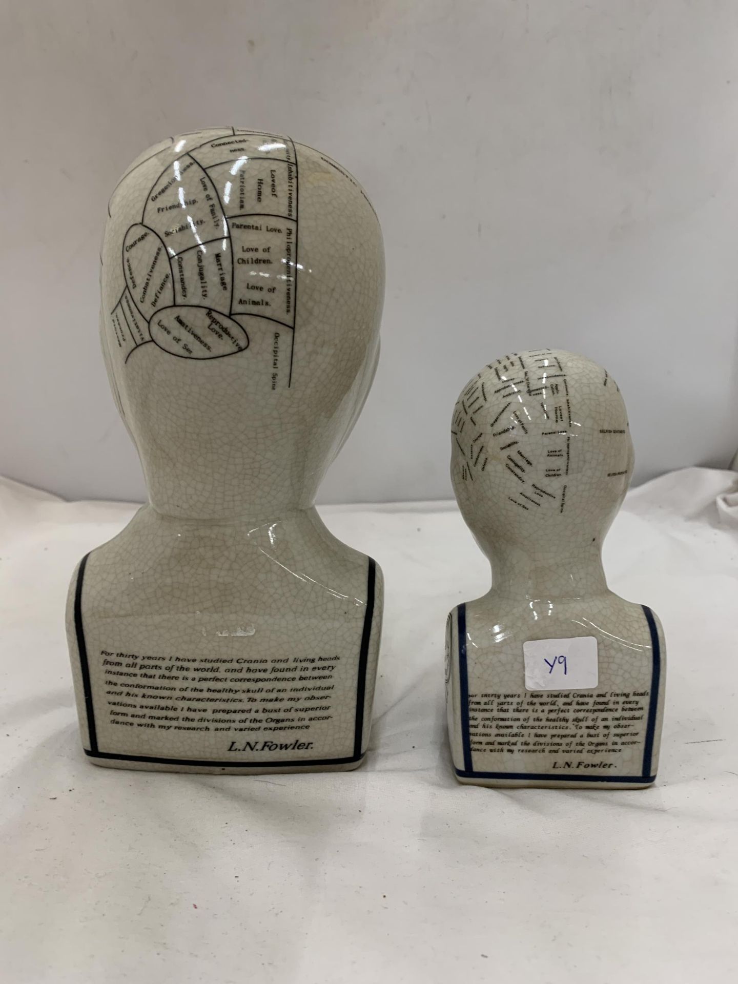 TWO CERAMIC PHRENOLOGY HEADS, HEIGHTS, 23CM AND 16CM - Image 3 of 5