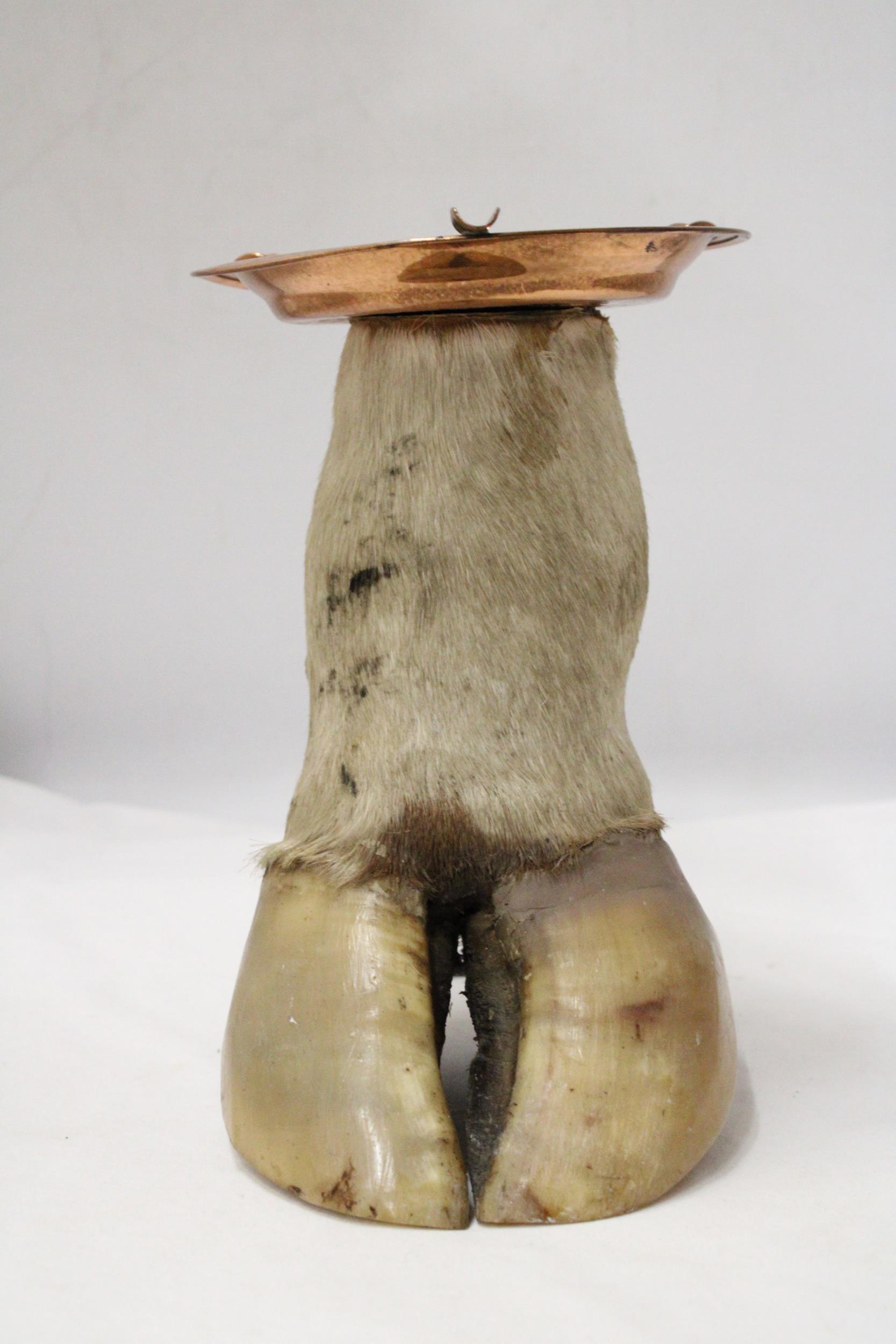 A COWS HOOF WITH COPPER ASHTRAY - Image 2 of 6