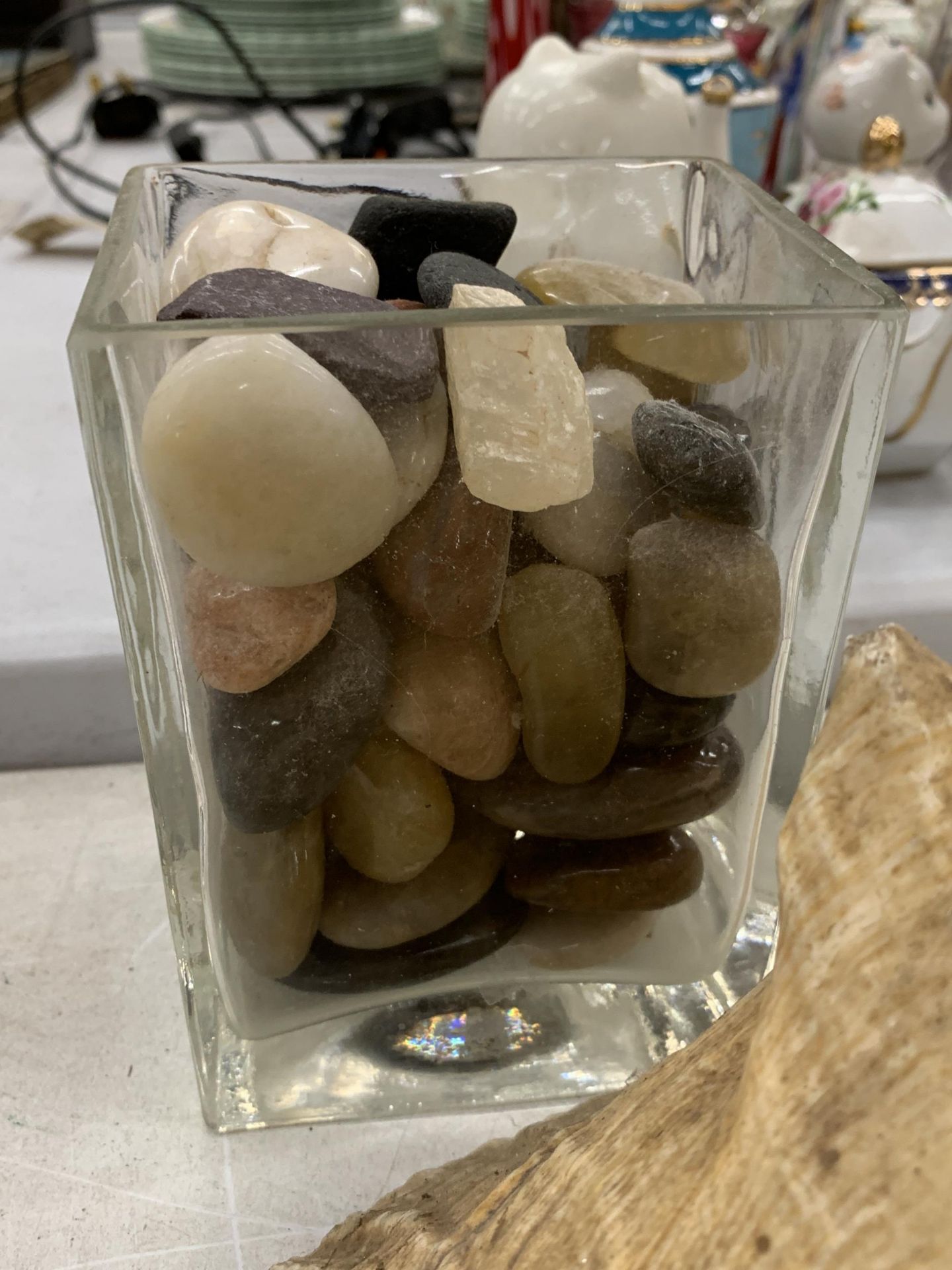 A COLLECTION OF SHELLS AND PEBBLES TO INCLUDE WHITE SCALLOPS, LARGE CONCH, OYSTER SHELLS, ETC., - Image 2 of 5