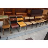 SEVEN 1950'S BENTWOOD CHAIRS ON TUBULAR FRAMES, ERCOL STYLE CHAIR