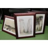 FOUR FRAMED LITHOGRAPHS BY DAVID ROBERT TO INCLUDE "VIEW UNDER THE GRAND PORTICO, PHILAE", "