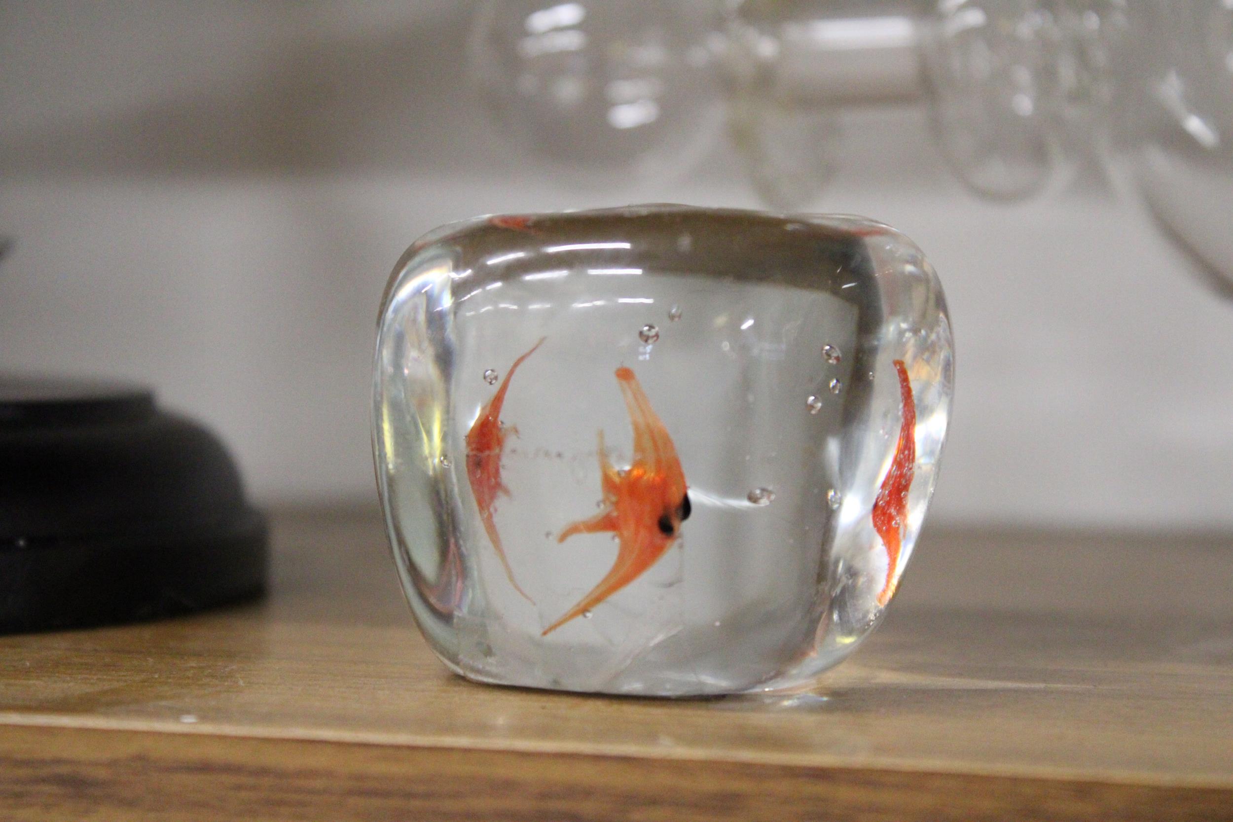 A VINTAGE MURANO GOLDFISH PAPERWEIGHT, WITH STICKER TO THE BASE