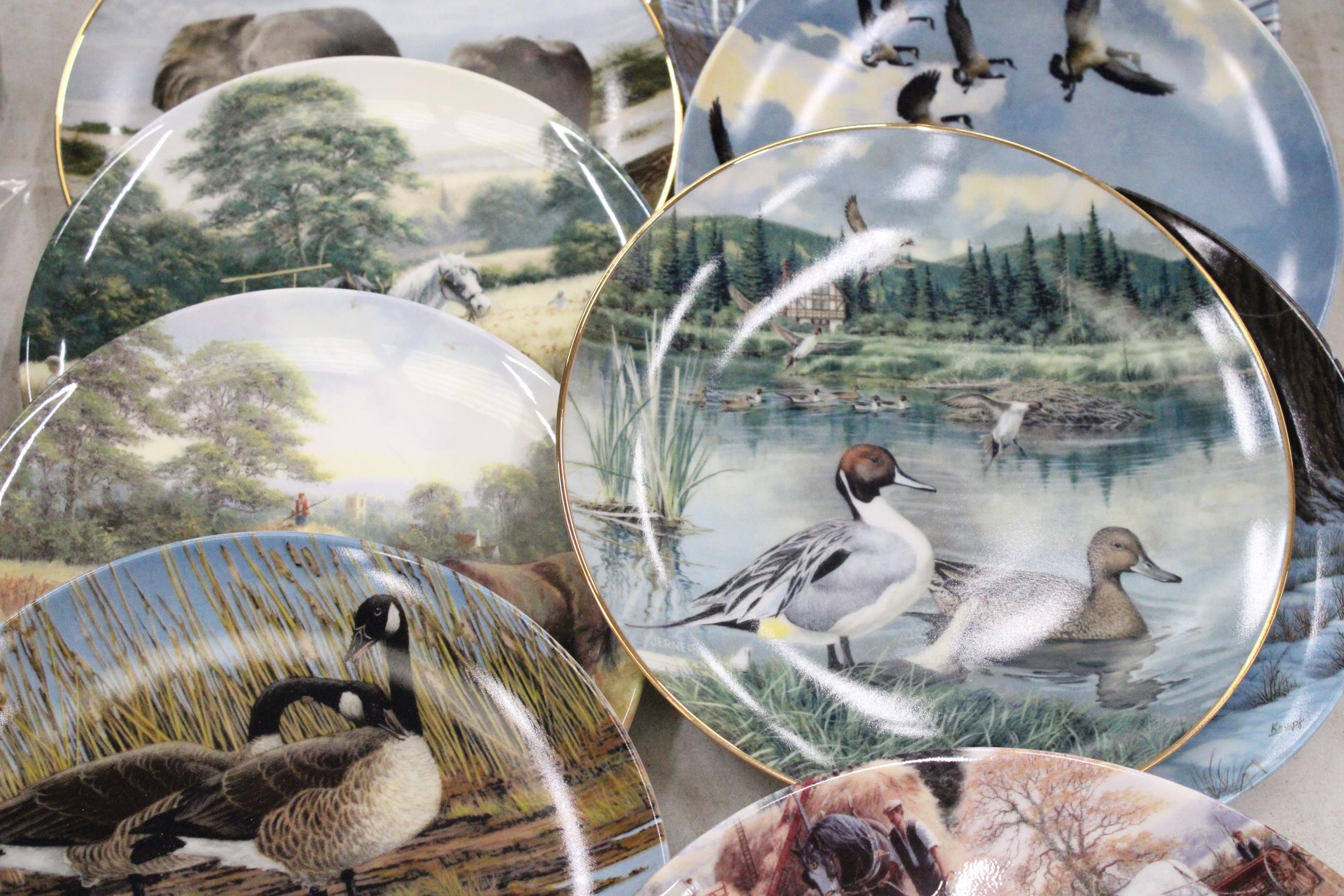 A QUANTITY OF TWELVE CABINET PLATES TO INCLUDE ROYAL DOULTON ETC - Image 3 of 7