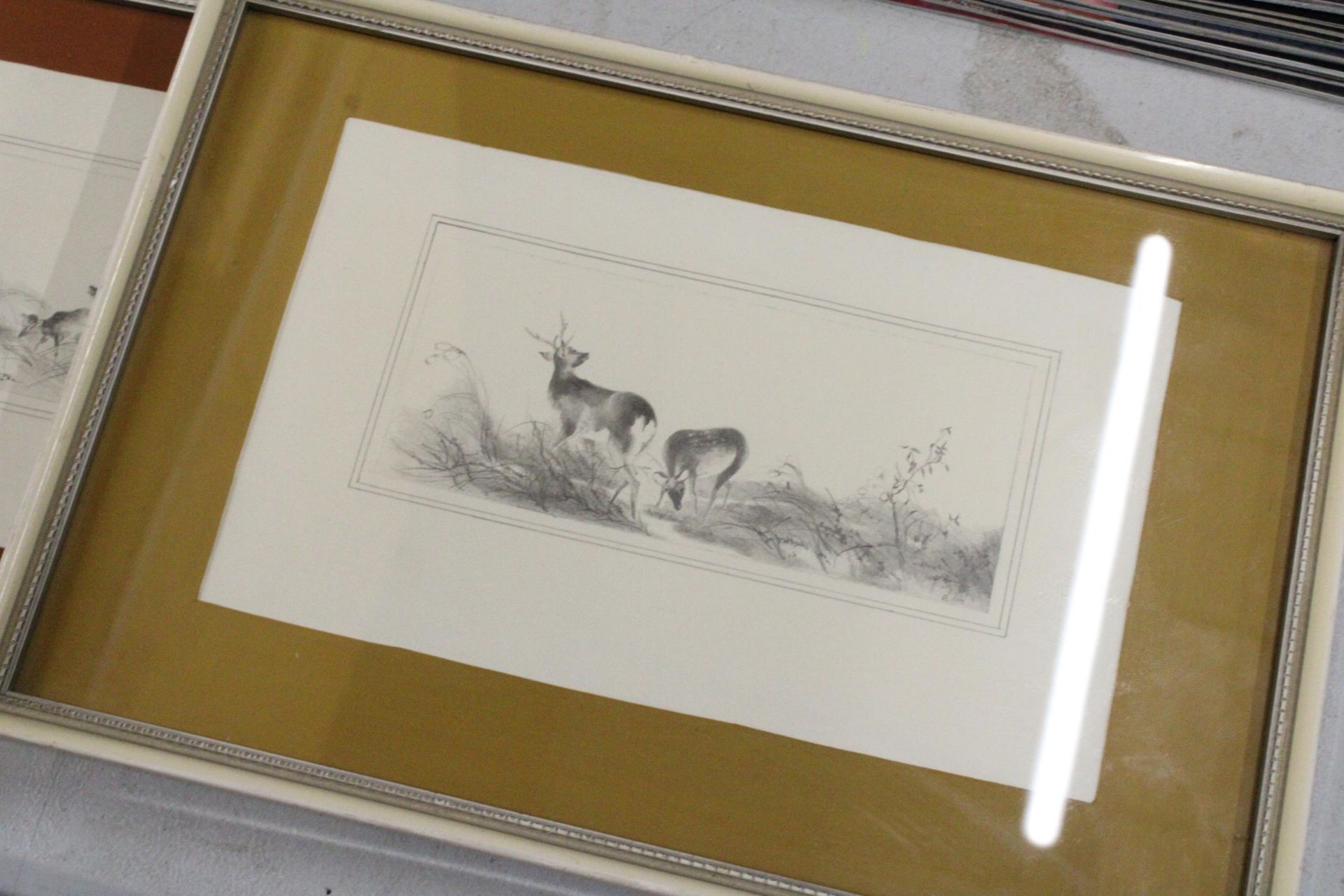 TWO PENCIL DRAWINGS OF DEER, FRAMED, SIGNED B JOY - Image 2 of 6