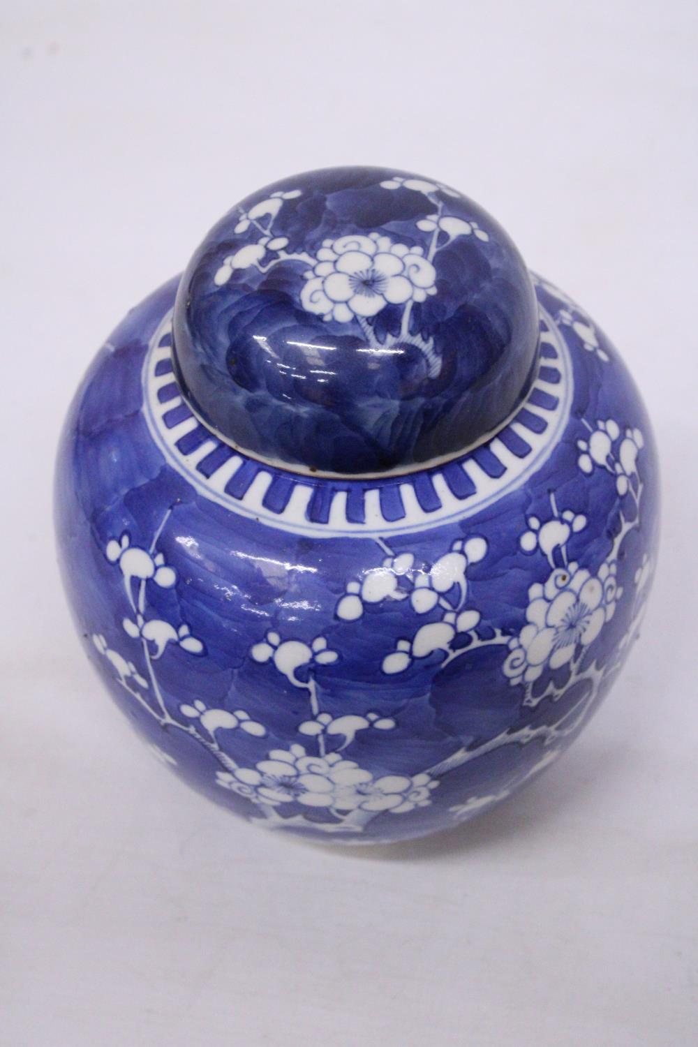 A 19TH CENTURY CHINESE PORCELAIN LIDDED PRUNUS PATTERN GINGER JAR - Image 5 of 7