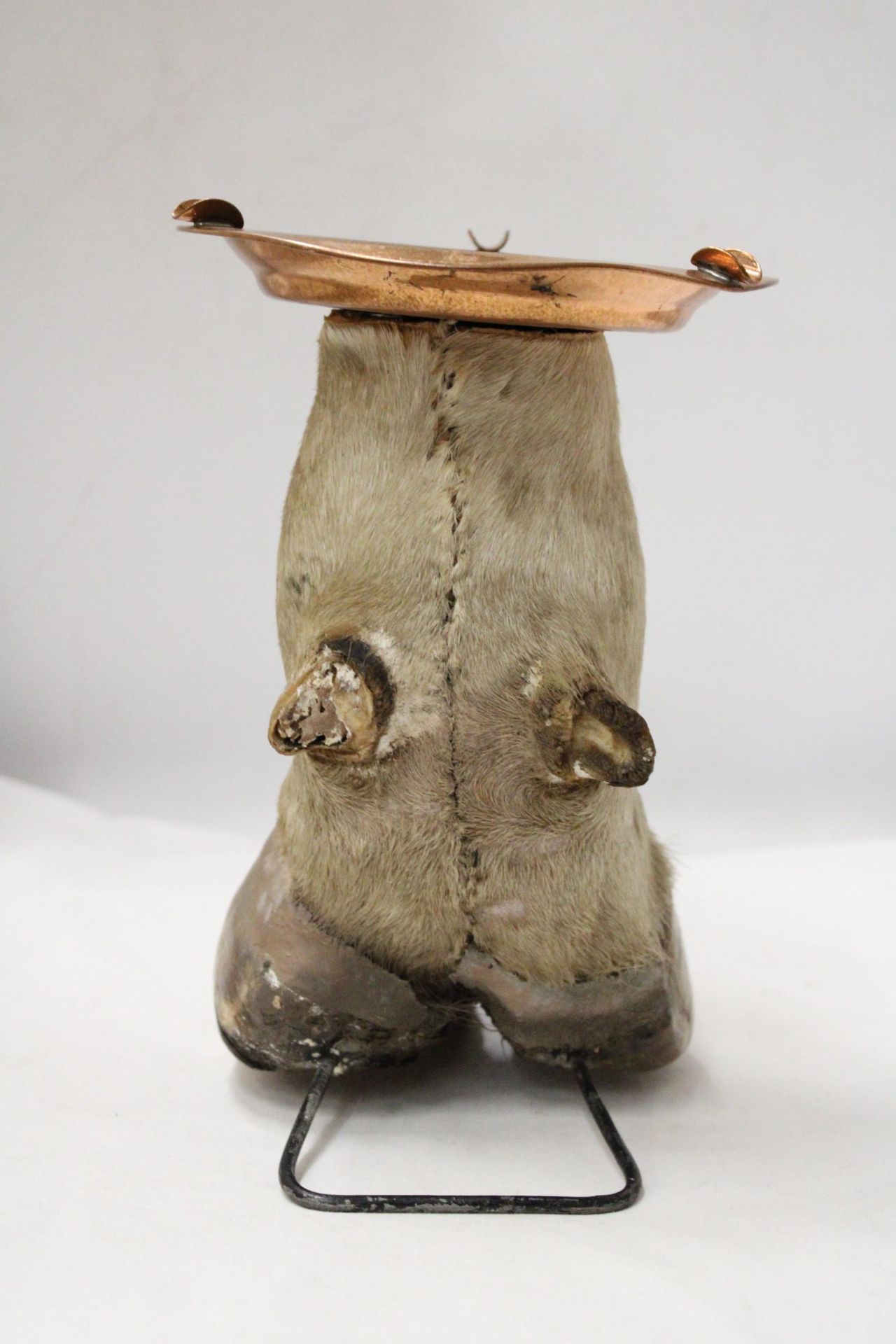 A COWS HOOF WITH COPPER ASHTRAY - Image 4 of 6