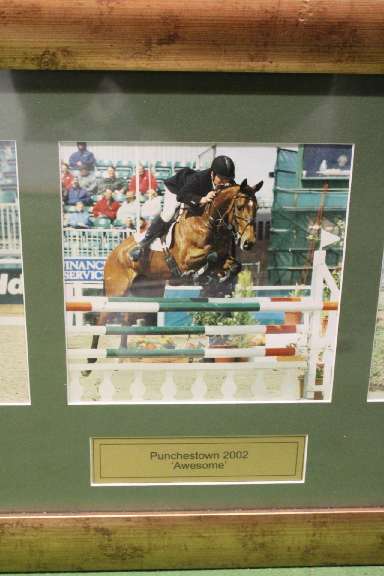 A QUANTITY OF SHOWJUMPING AND EVENTING PHOTOGRAPHS - IN FRAMES - Image 5 of 6