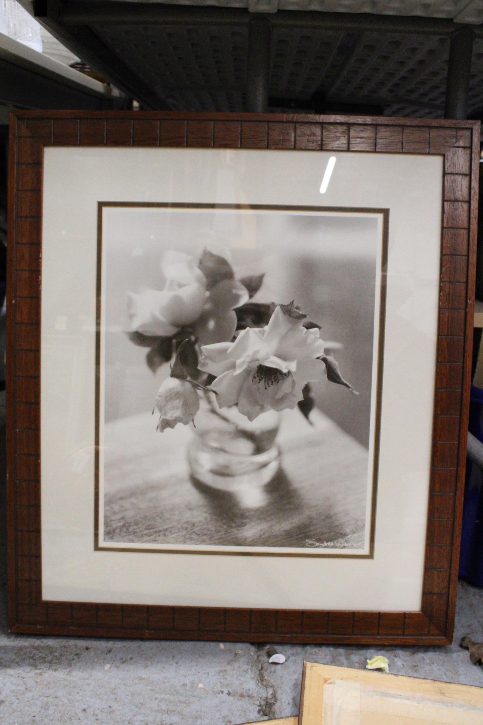 THREE PHOTOGRAPHIC PRINTS OF FLOWERS, 50CM X 63CM - Image 4 of 5