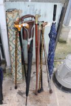 AN ASSORTMENT OF WALKING STICKS AND UMBRELLAS TO INCLUDE TWO SHOOTING STICKS, AND ONE WITH A BRASS