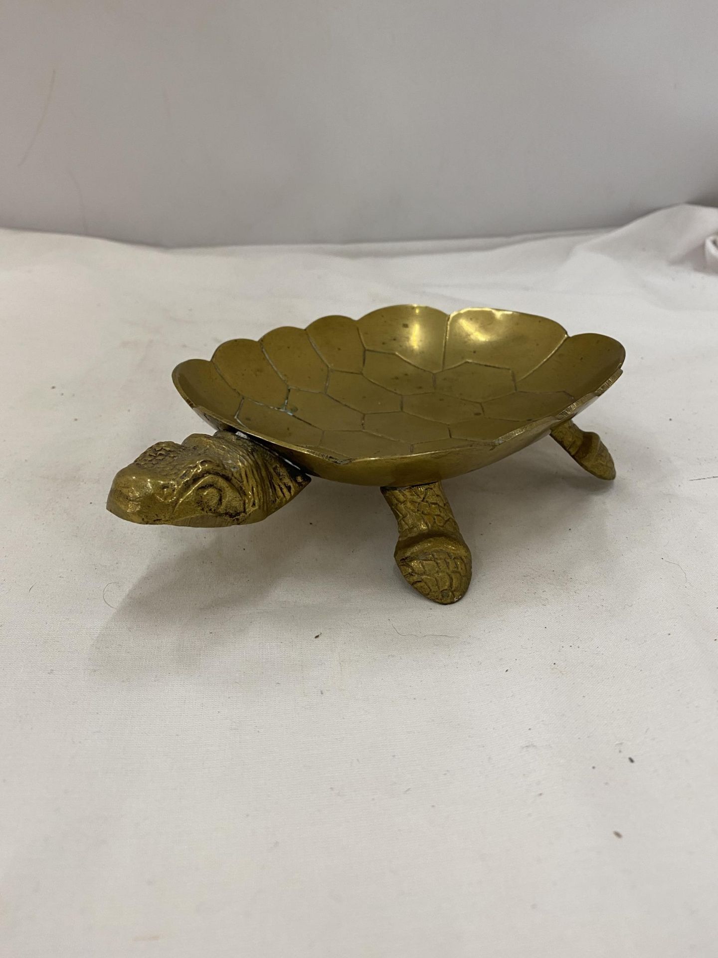 A VINTAGE BRASS TURTLE DISH - Image 5 of 6