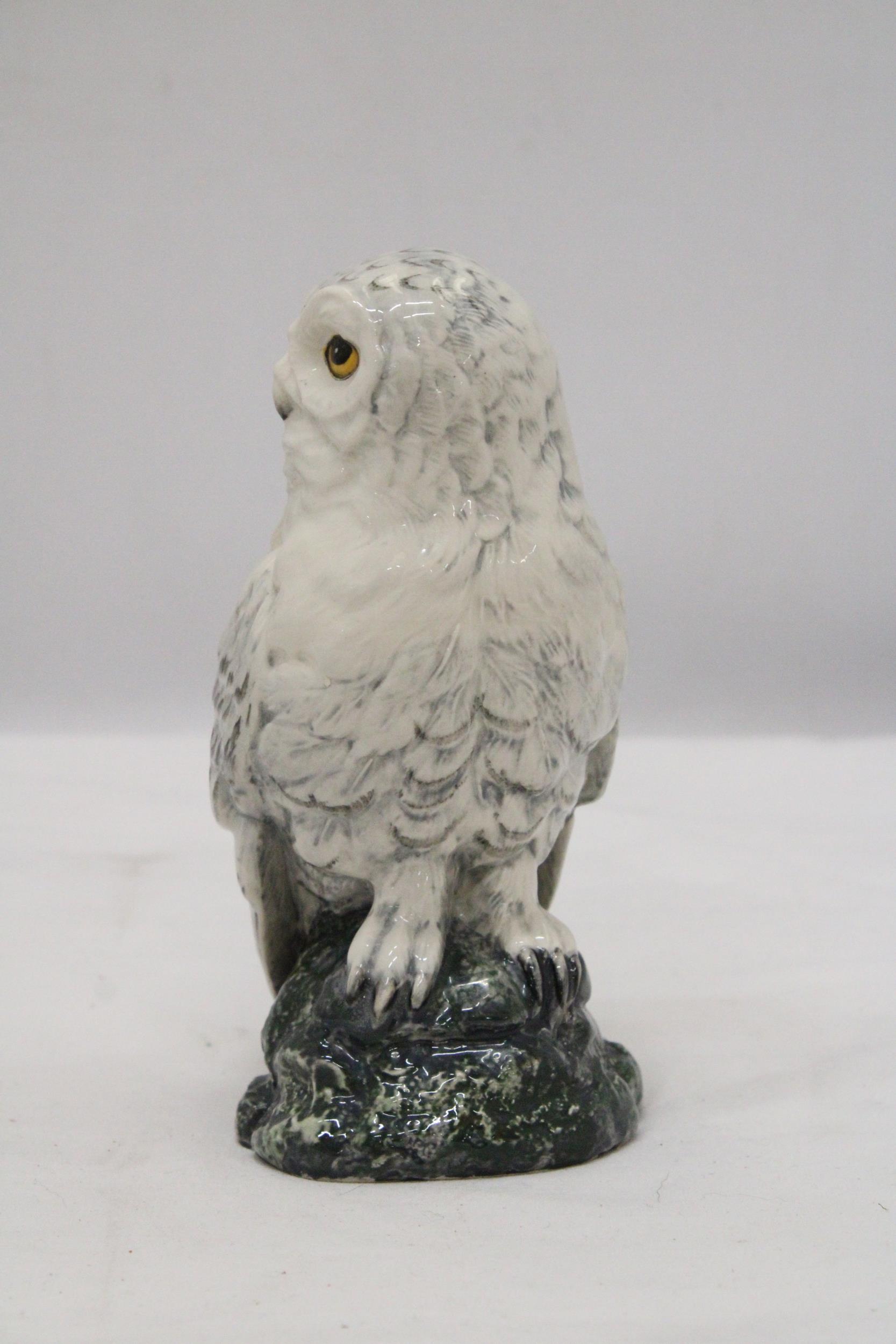 A ROYAL DOULTON, 1984, SNOWY OWL, WHYTE AND MACKAY DECANTER - Image 3 of 6