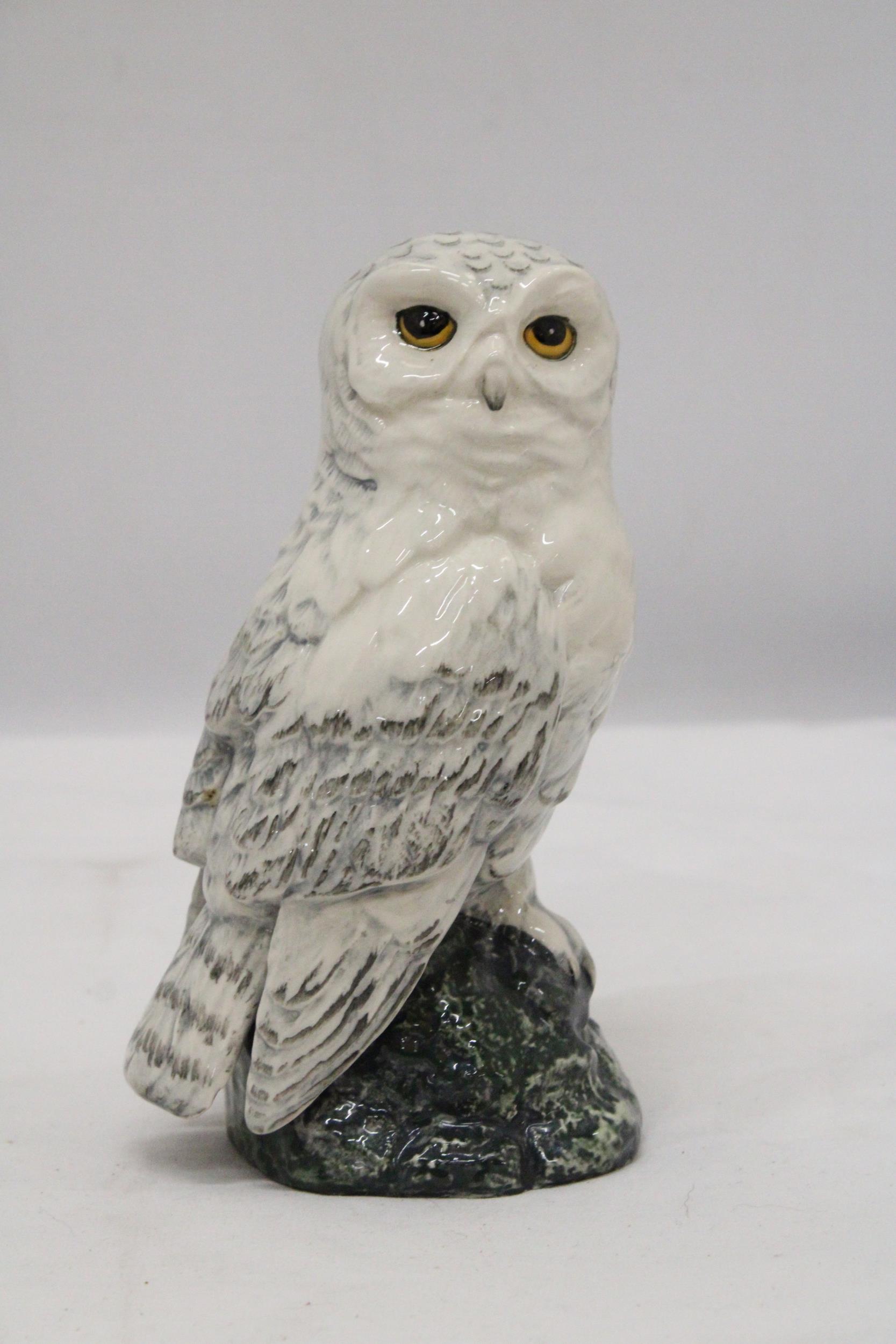 A ROYAL DOULTON, 1984, SNOWY OWL, WHYTE AND MACKAY DECANTER - Image 2 of 6