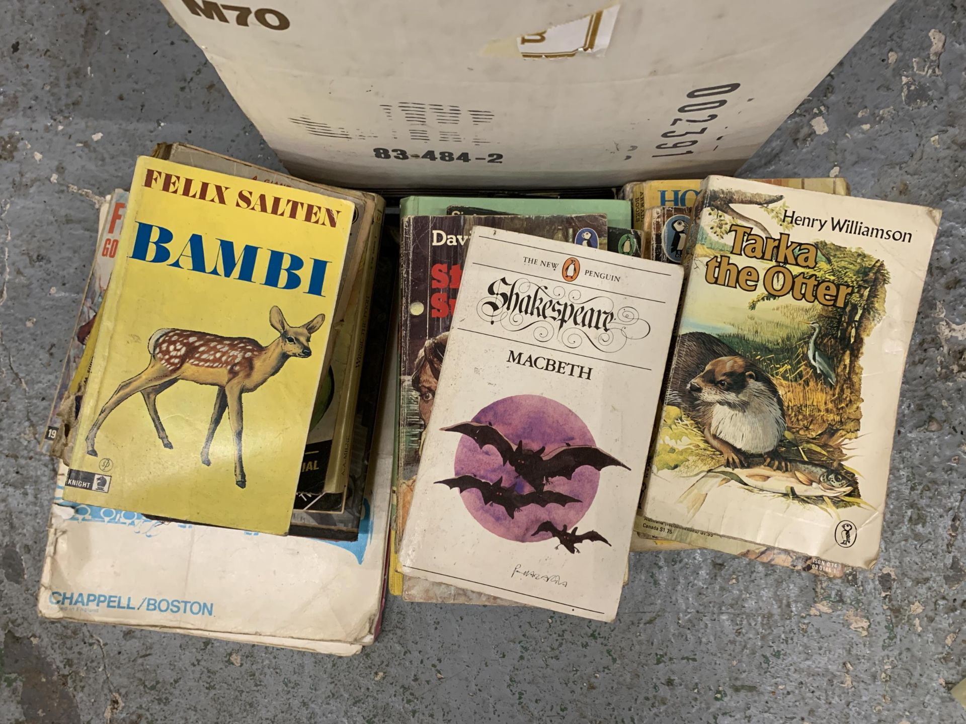 A LARGE QUANTITY OF VINTAGE CHILDRENS BOOKS TO INCLUDE BAMBI, SHAKESPEARE, THE WIZARD OF OZ ETC - Image 3 of 3