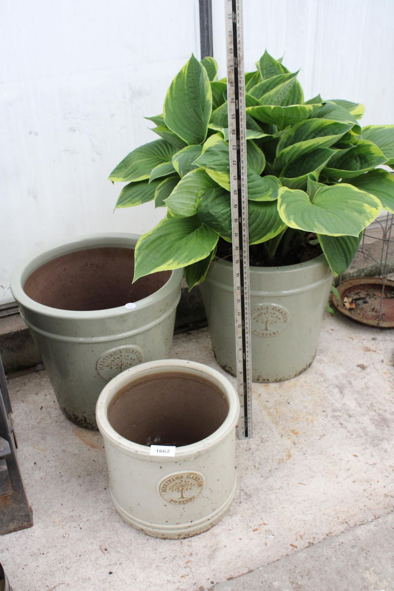 A SET OF THREE GLAZED HERITAGE GARDEN POTTERY TUBS ONE CONTAINING HOSTERS - Image 3 of 3