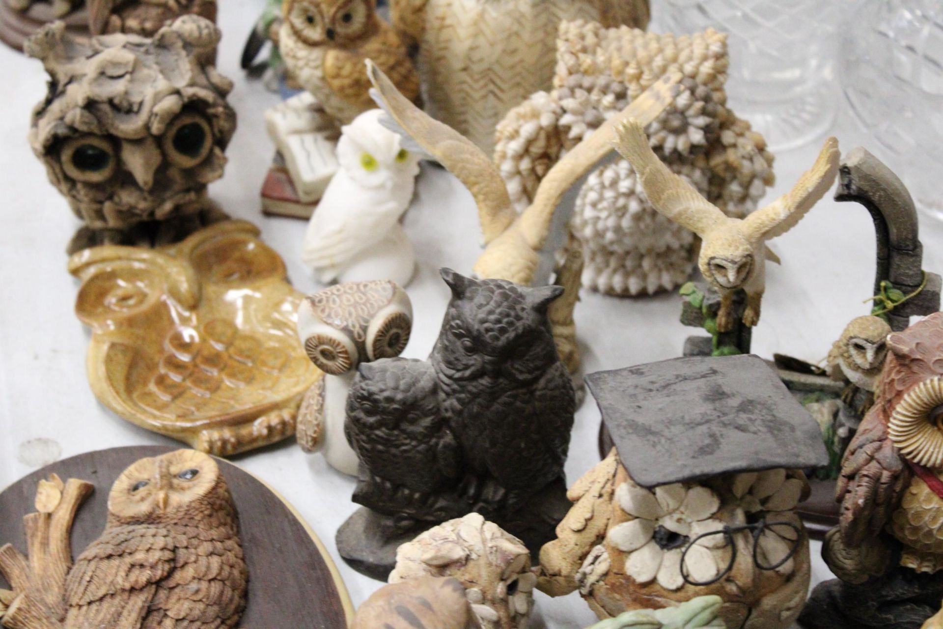 A LARGE QUANTITY OF OWL FIGURES (25 IN TOTAL) - Image 4 of 7