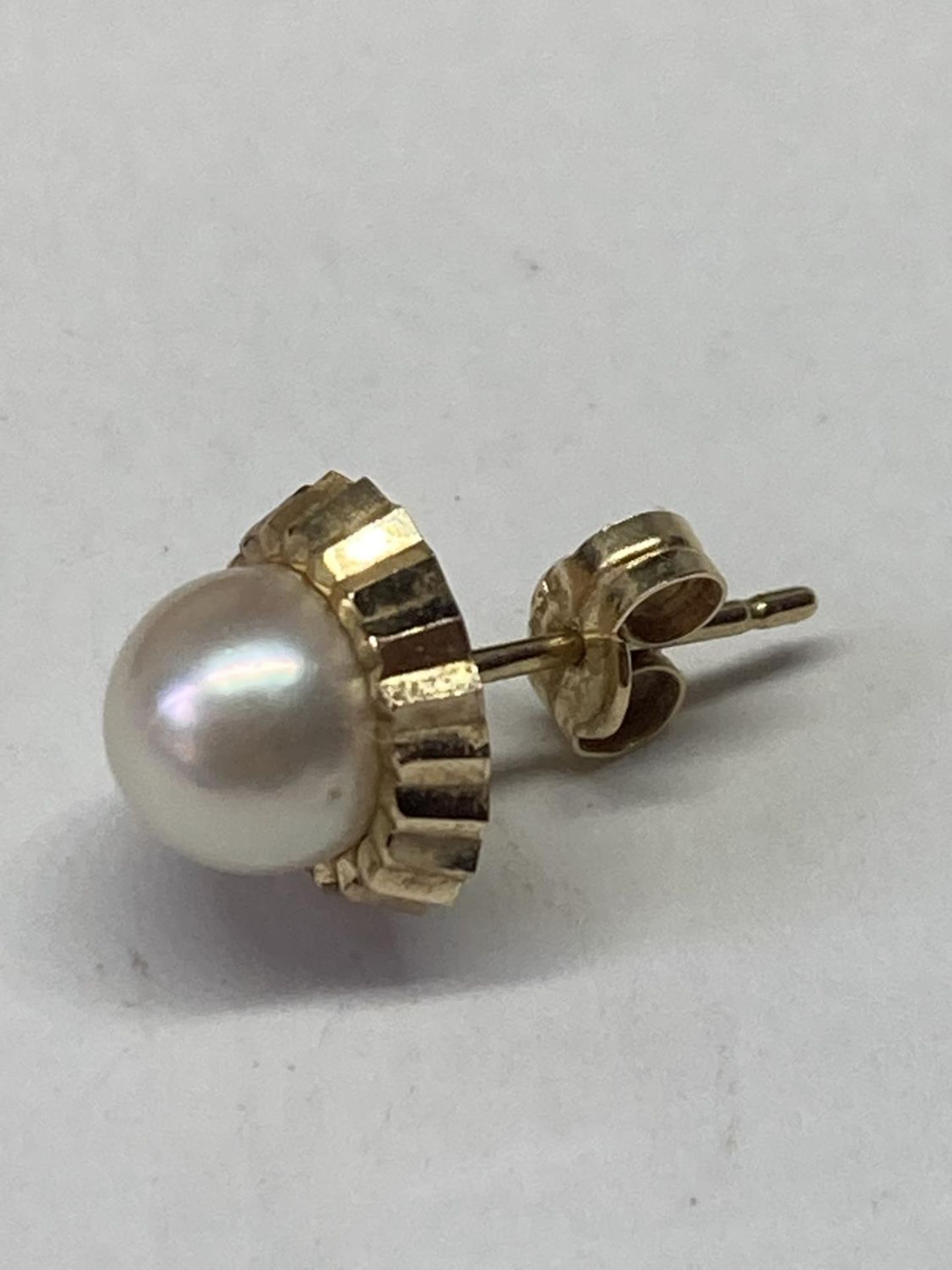A PAIR OF 9 CARAT GOLD AND PEARL EARRINGS IN A PRESENTATION BOX - Bild 3 aus 8