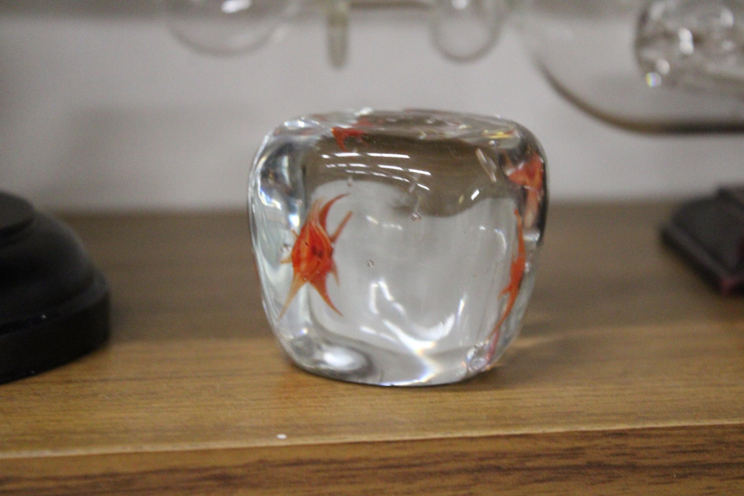 A VINTAGE MURANO GOLDFISH PAPERWEIGHT, WITH STICKER TO THE BASE - Image 2 of 4