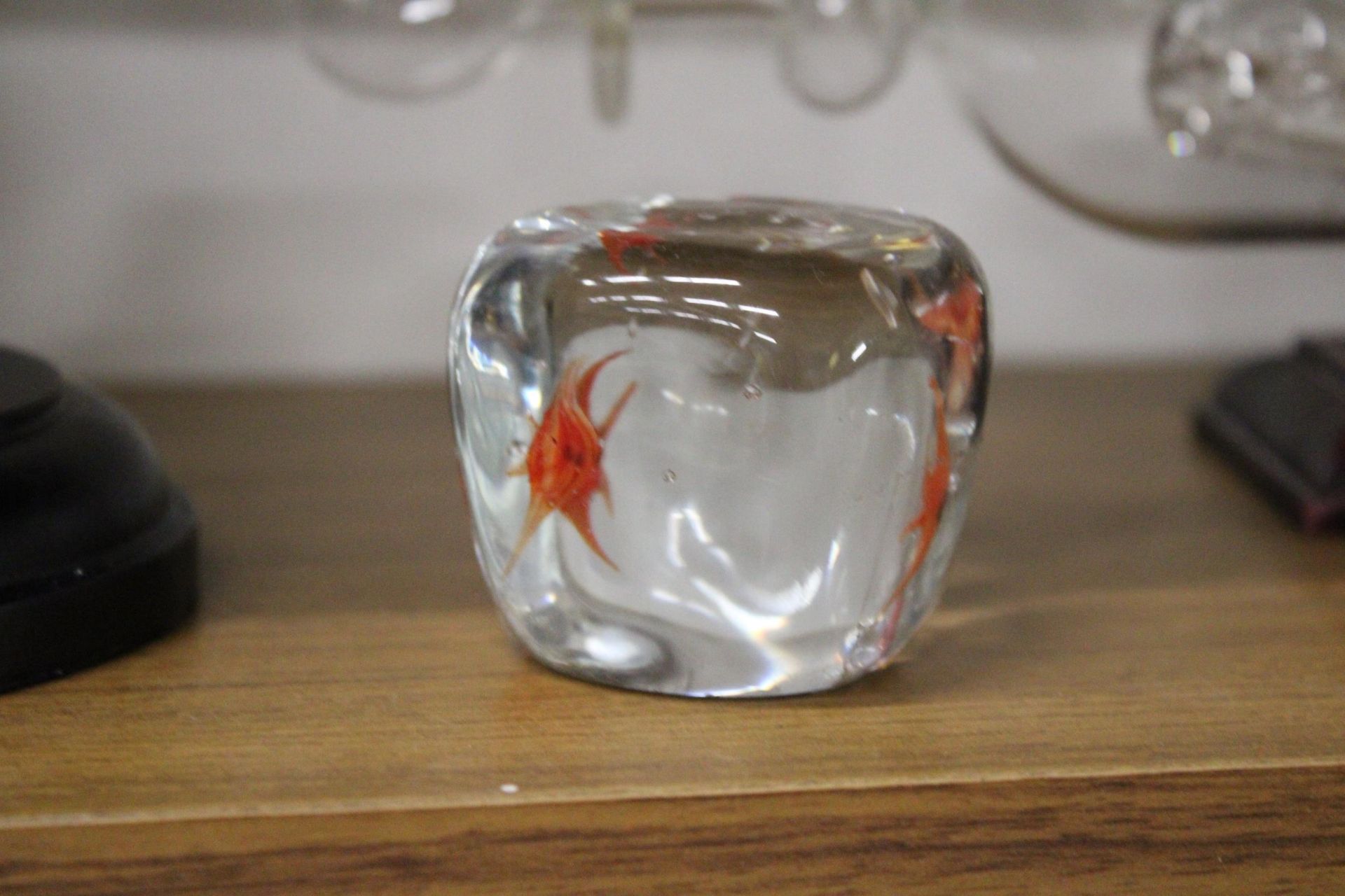 A VINTAGE MURANO GOLDFISH PAPERWEIGHT, WITH STICKER TO THE BASE - Bild 2 aus 4